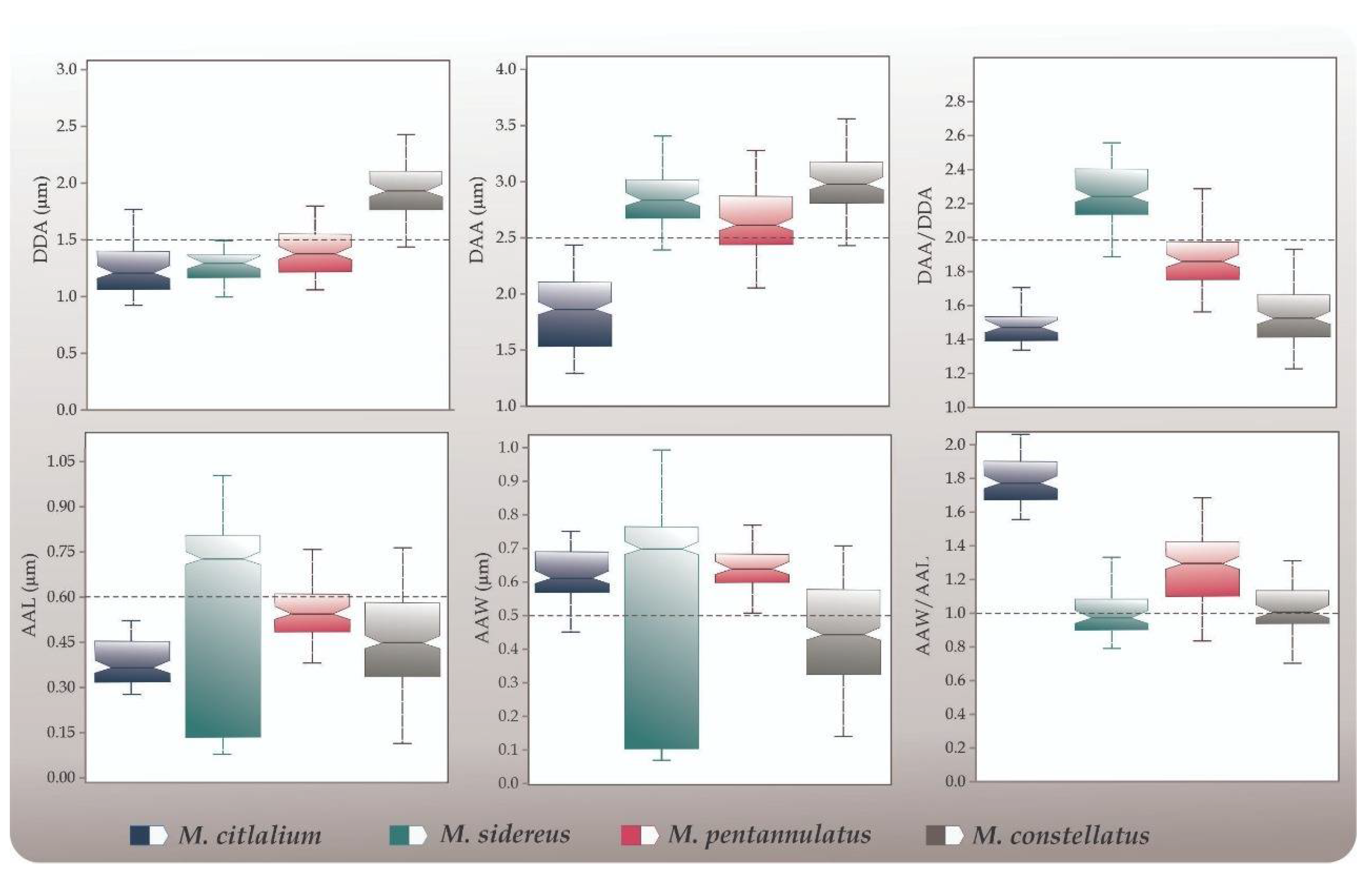 Diversity 13 00307 g002