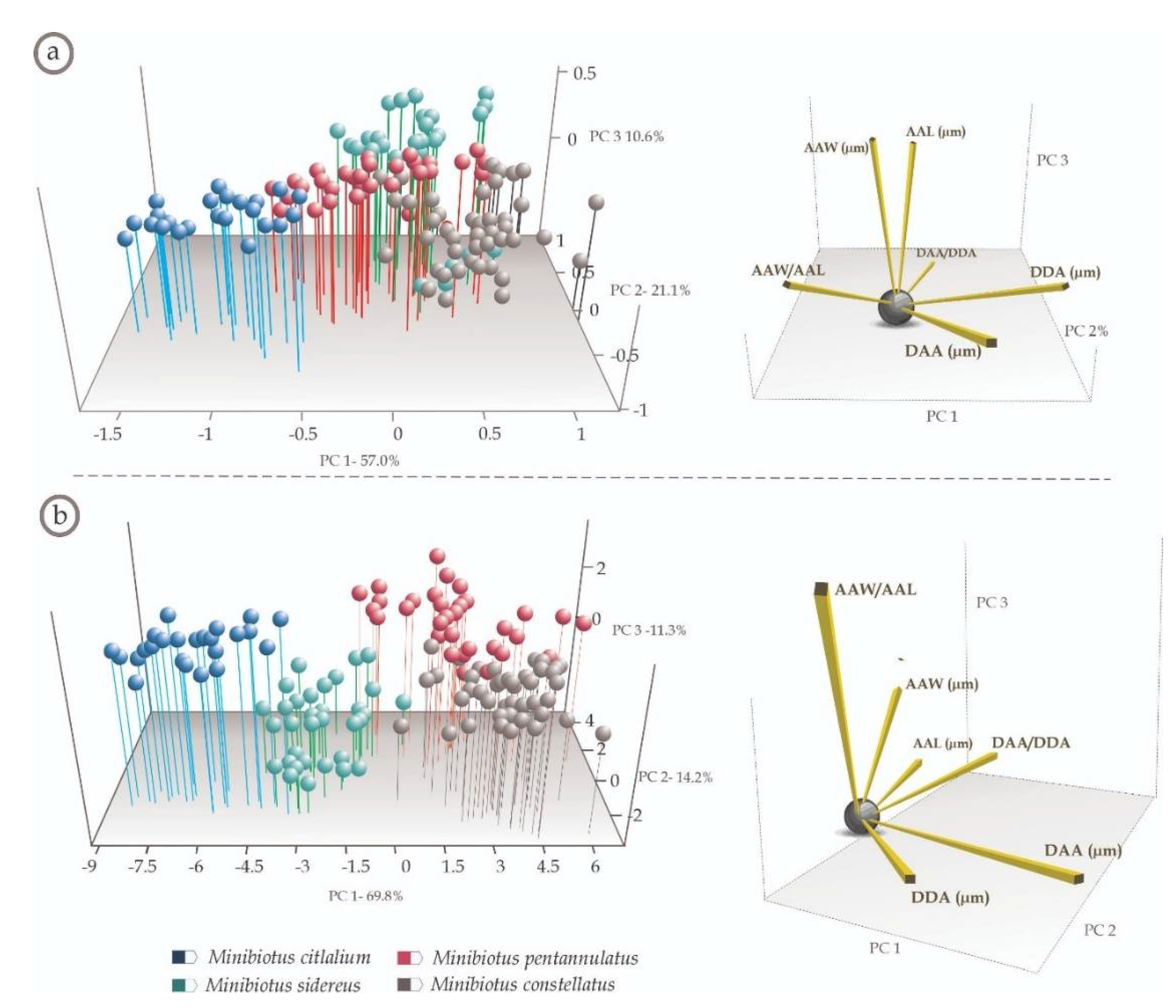 Diversity 13 00307 g004