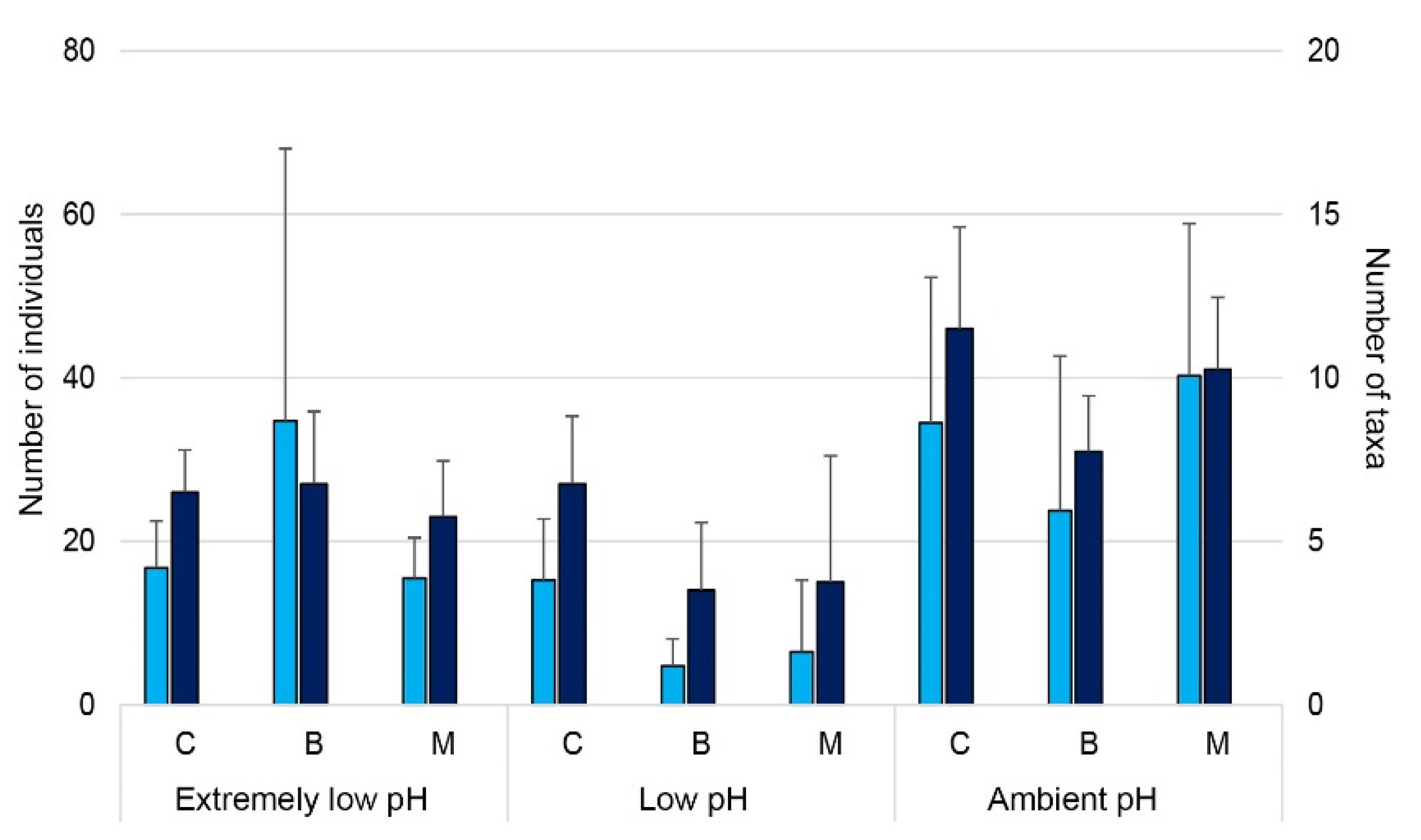 Diversity 13 00311 g004