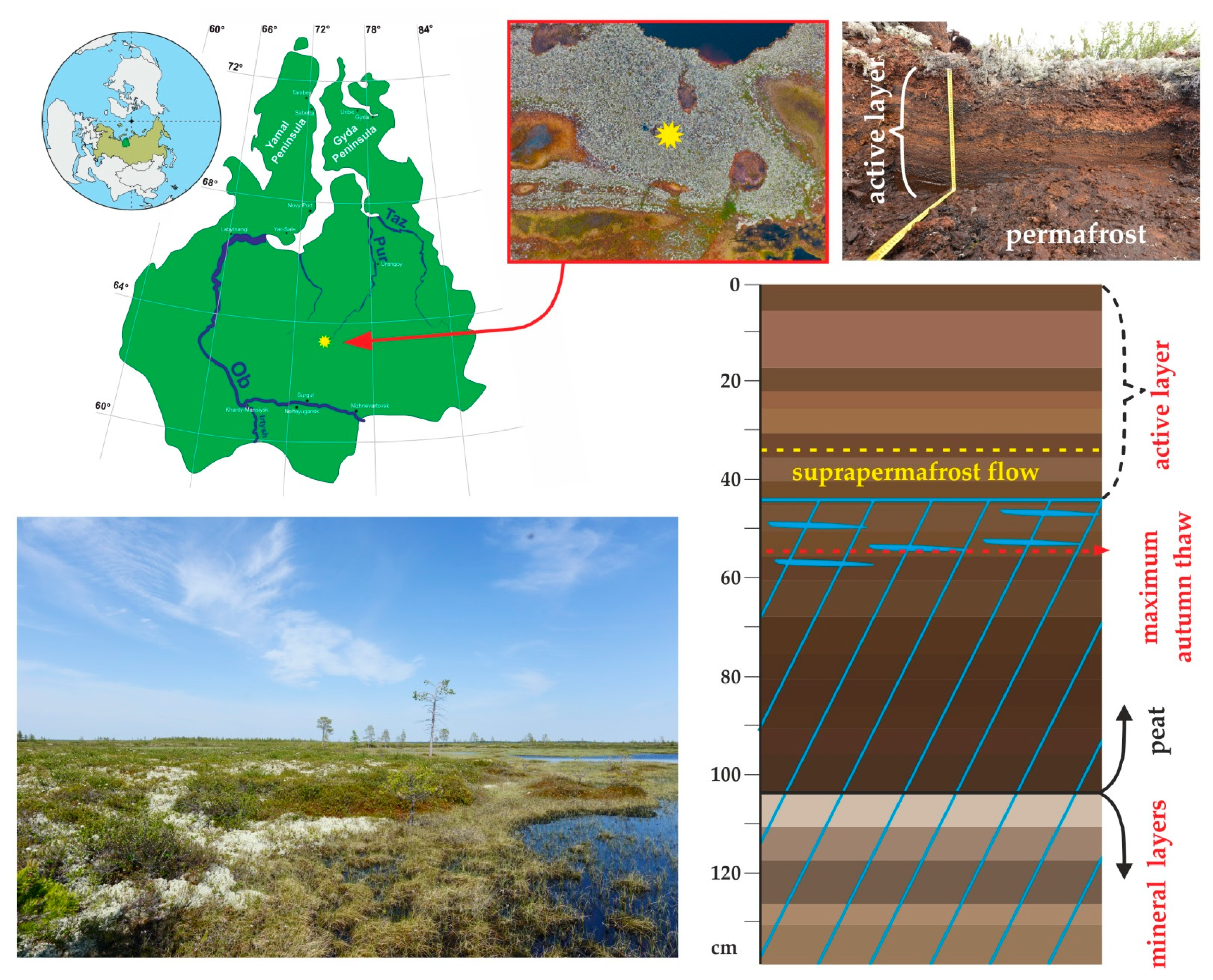 Diversity 13 00328 g001