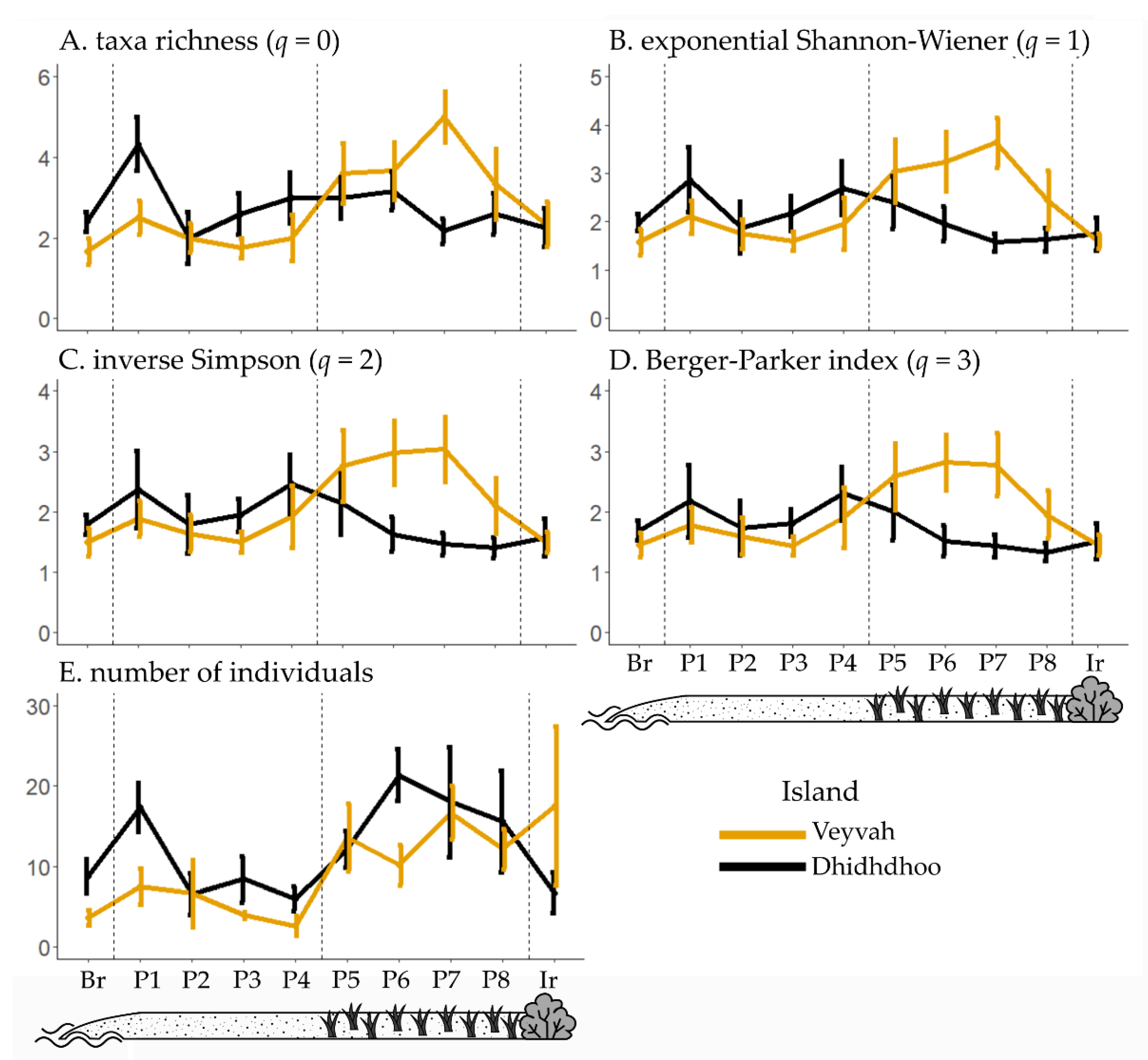 Diversity 13 00377 g002