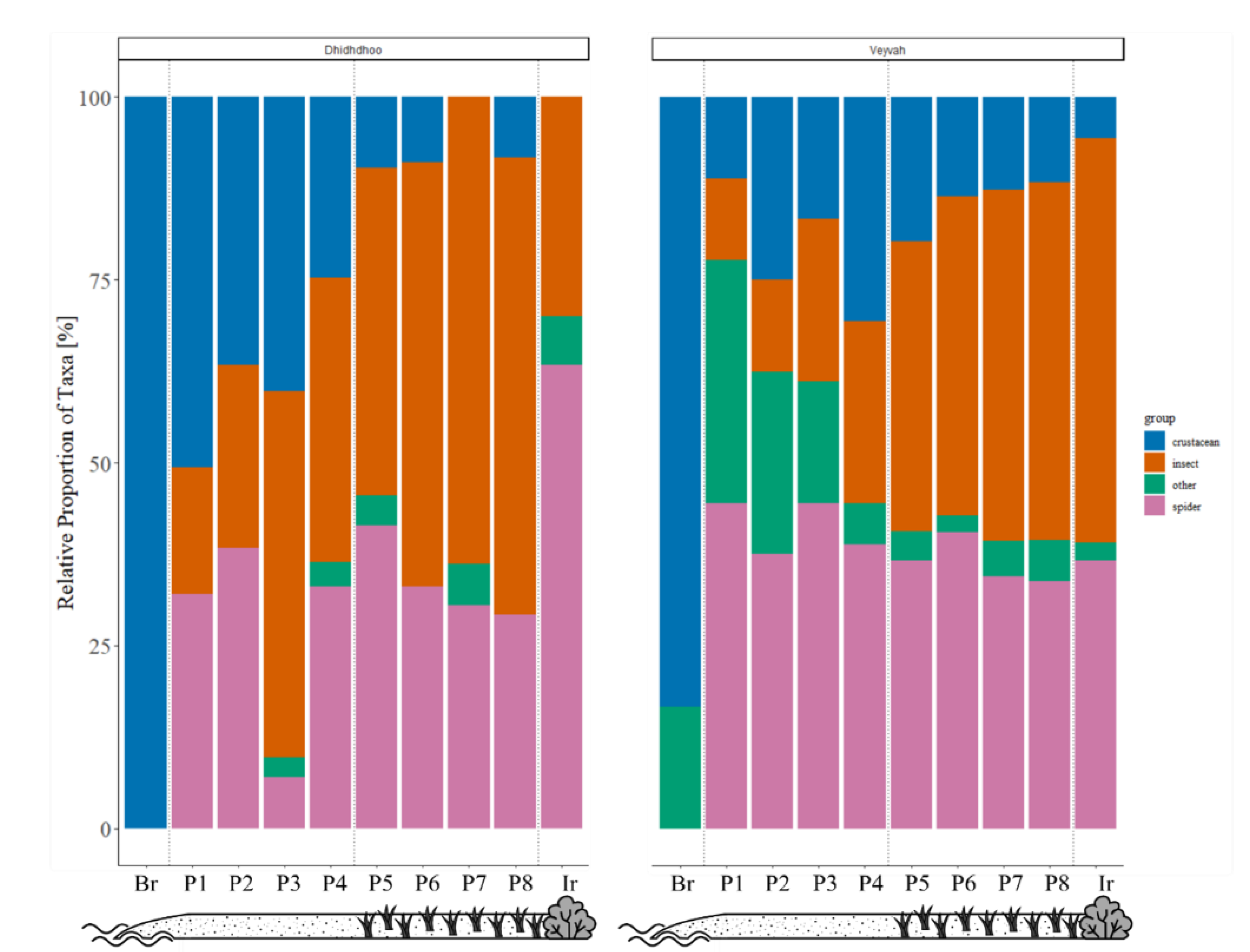 Diversity 13 00377 g004