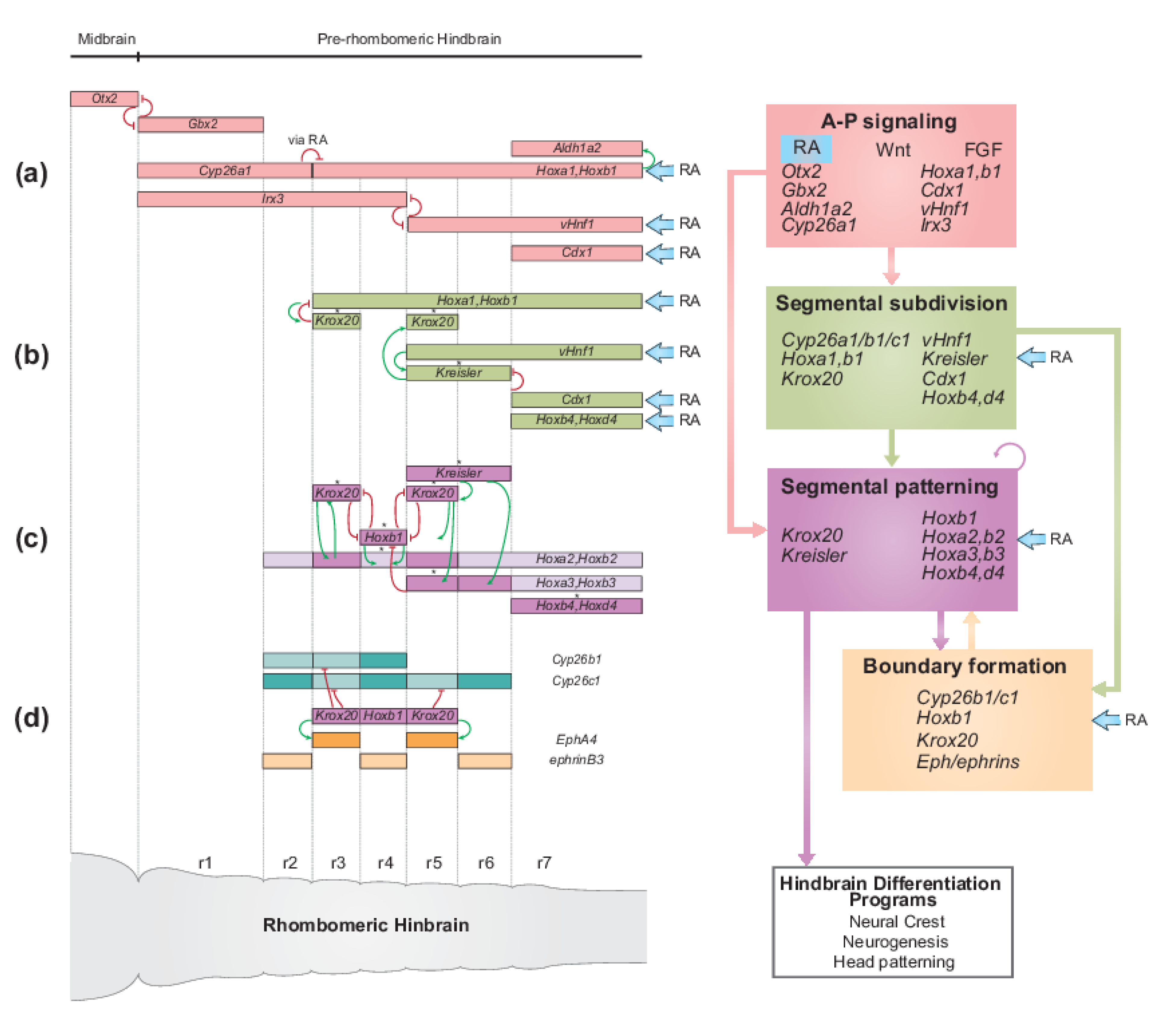 Diversity 13 00398 g003