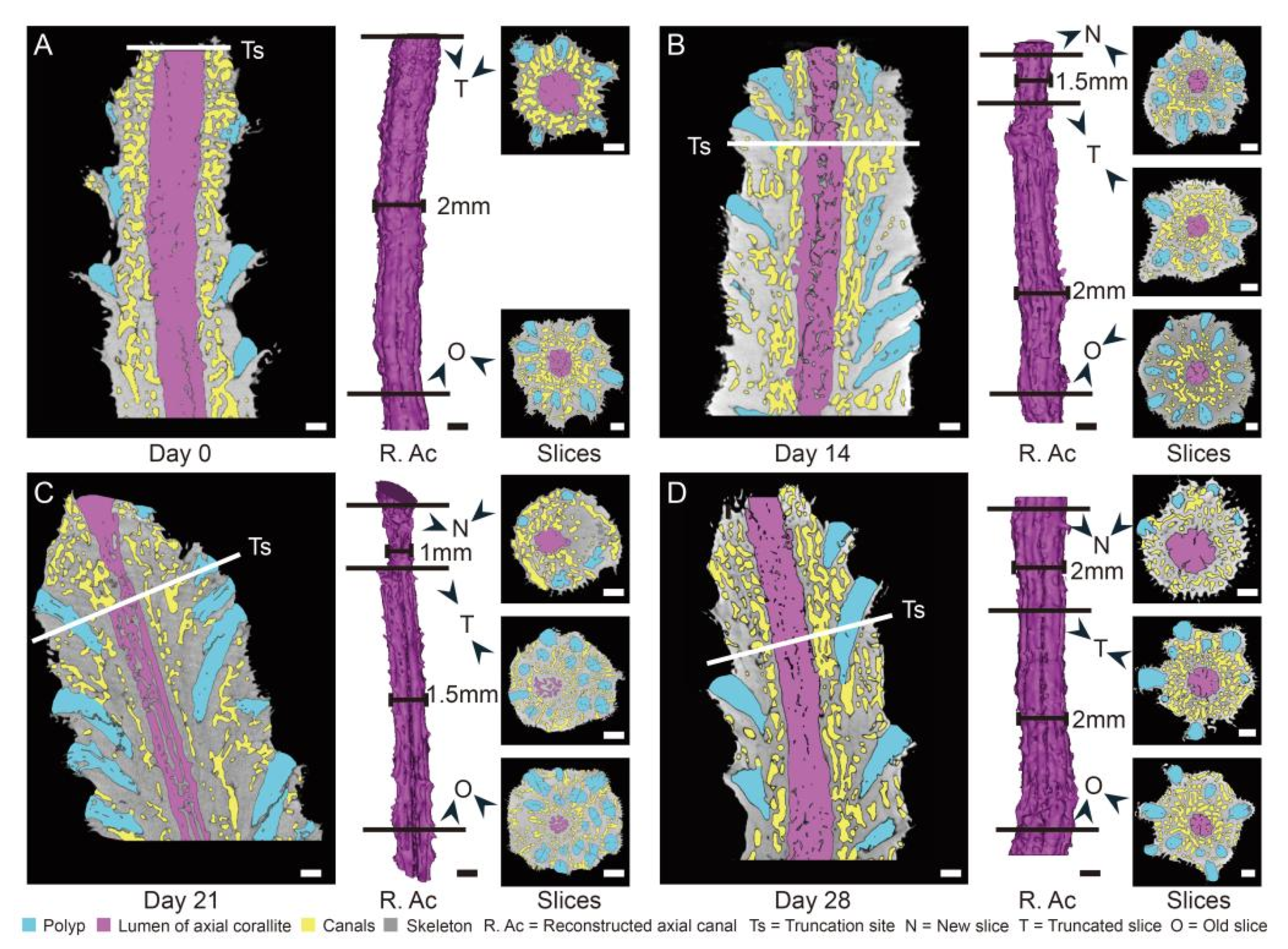 Diversity 13 00407 g004