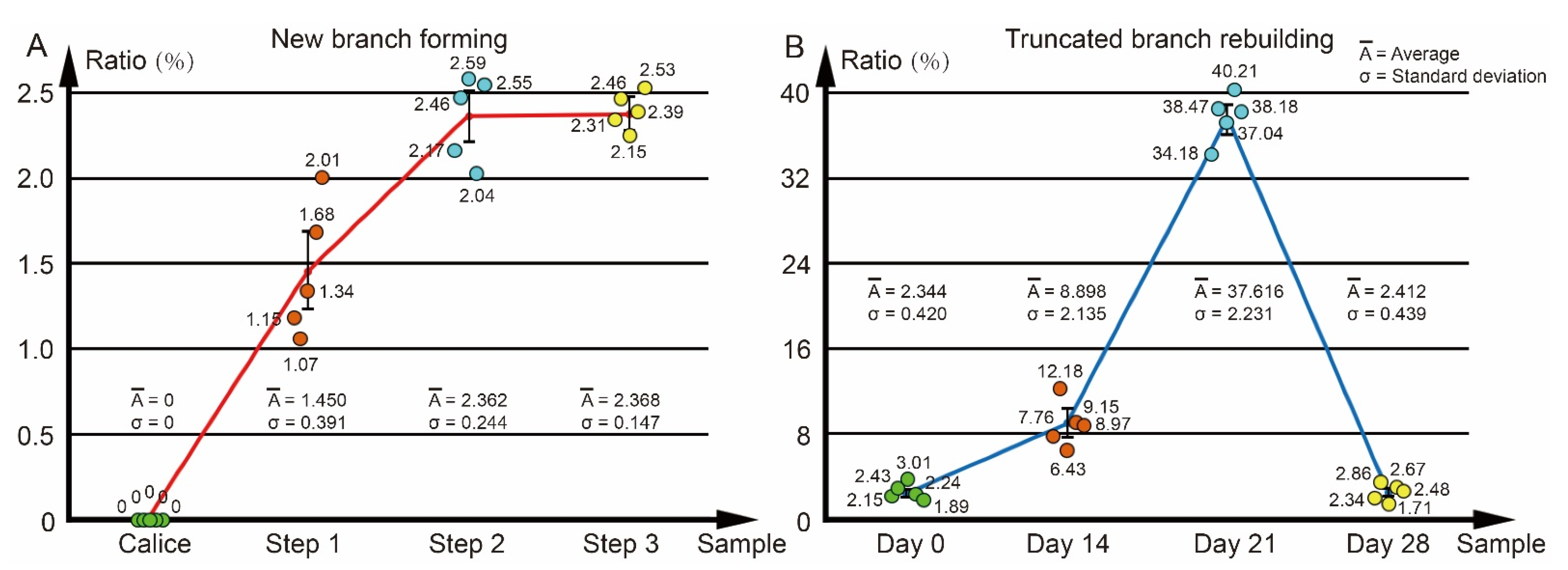 Diversity 13 00407 g005