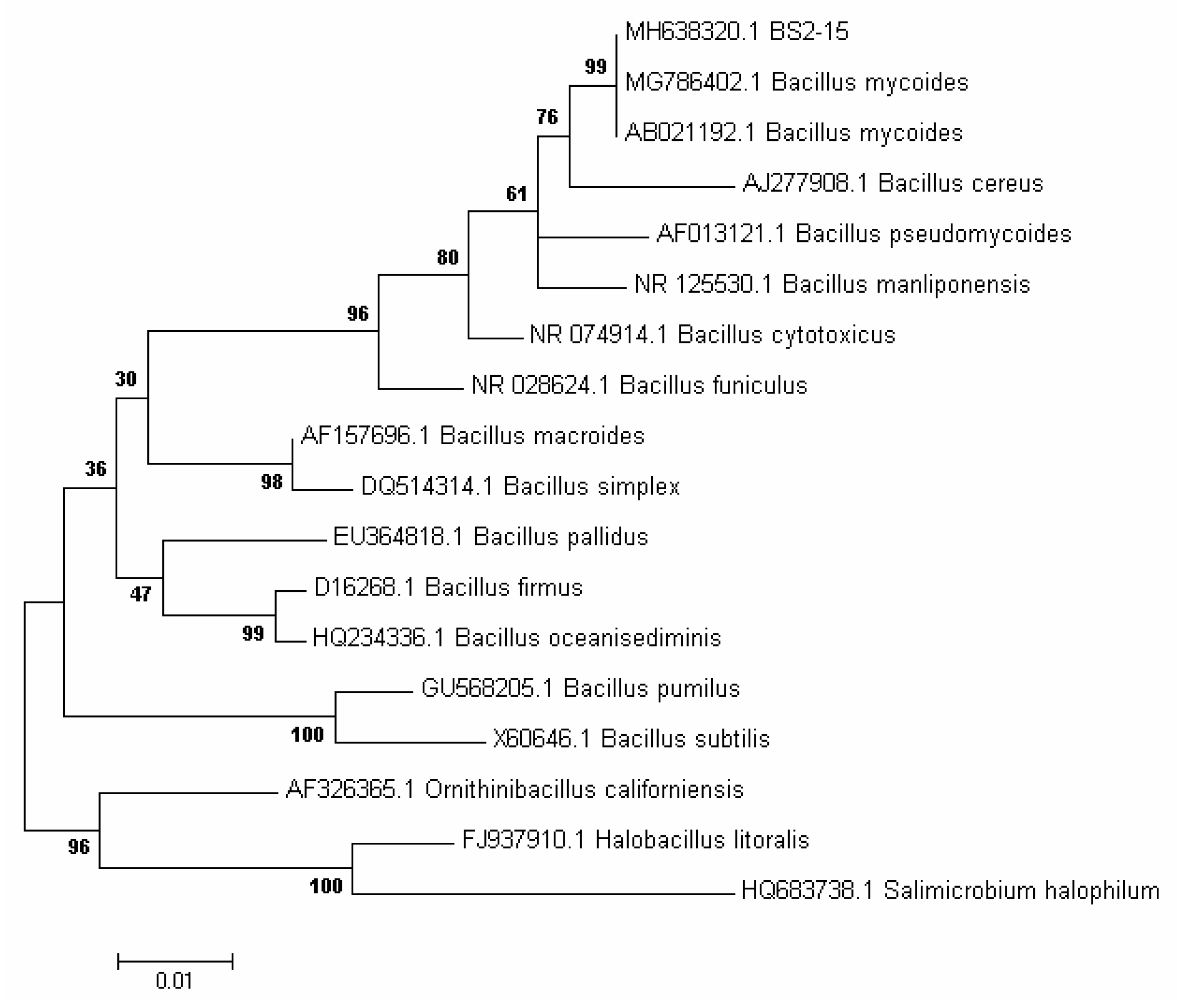 Diversity 13 00469 g002 Diversity 13 00469 g002