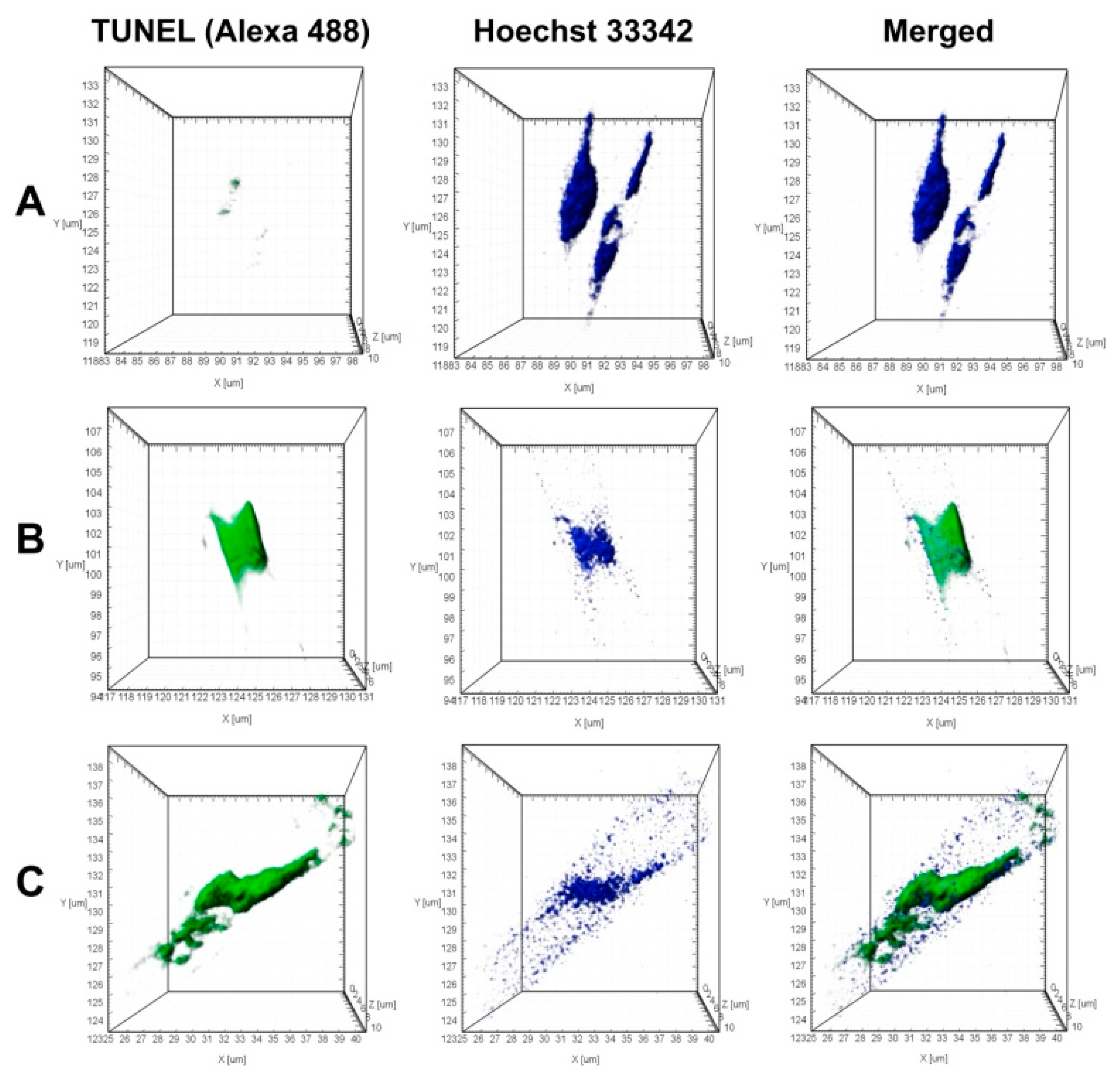 Diversity 13 00469 g007 Diversity 13 00469 g007