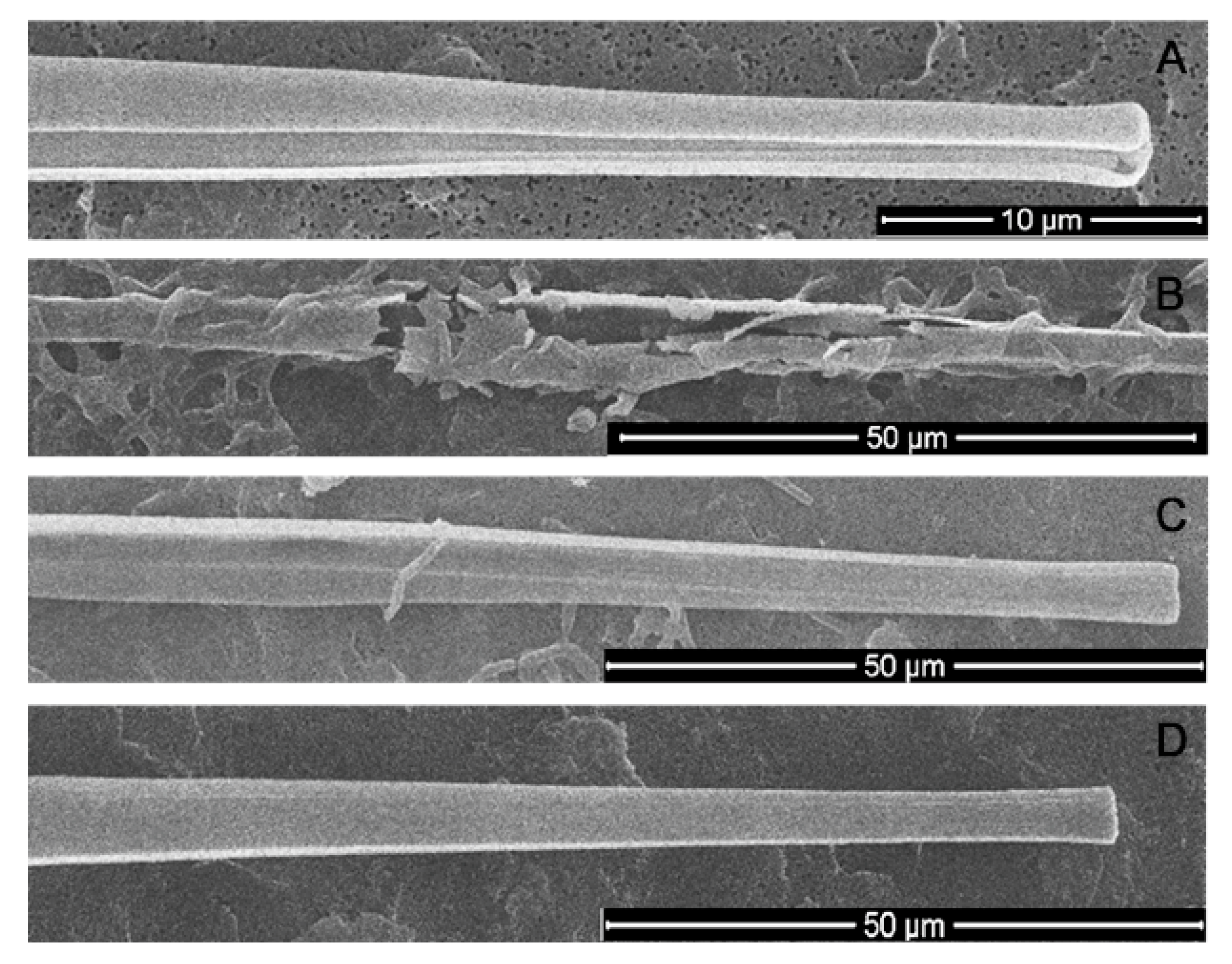 Diversity 13 00469 g008 Diversity 13 00469 g008