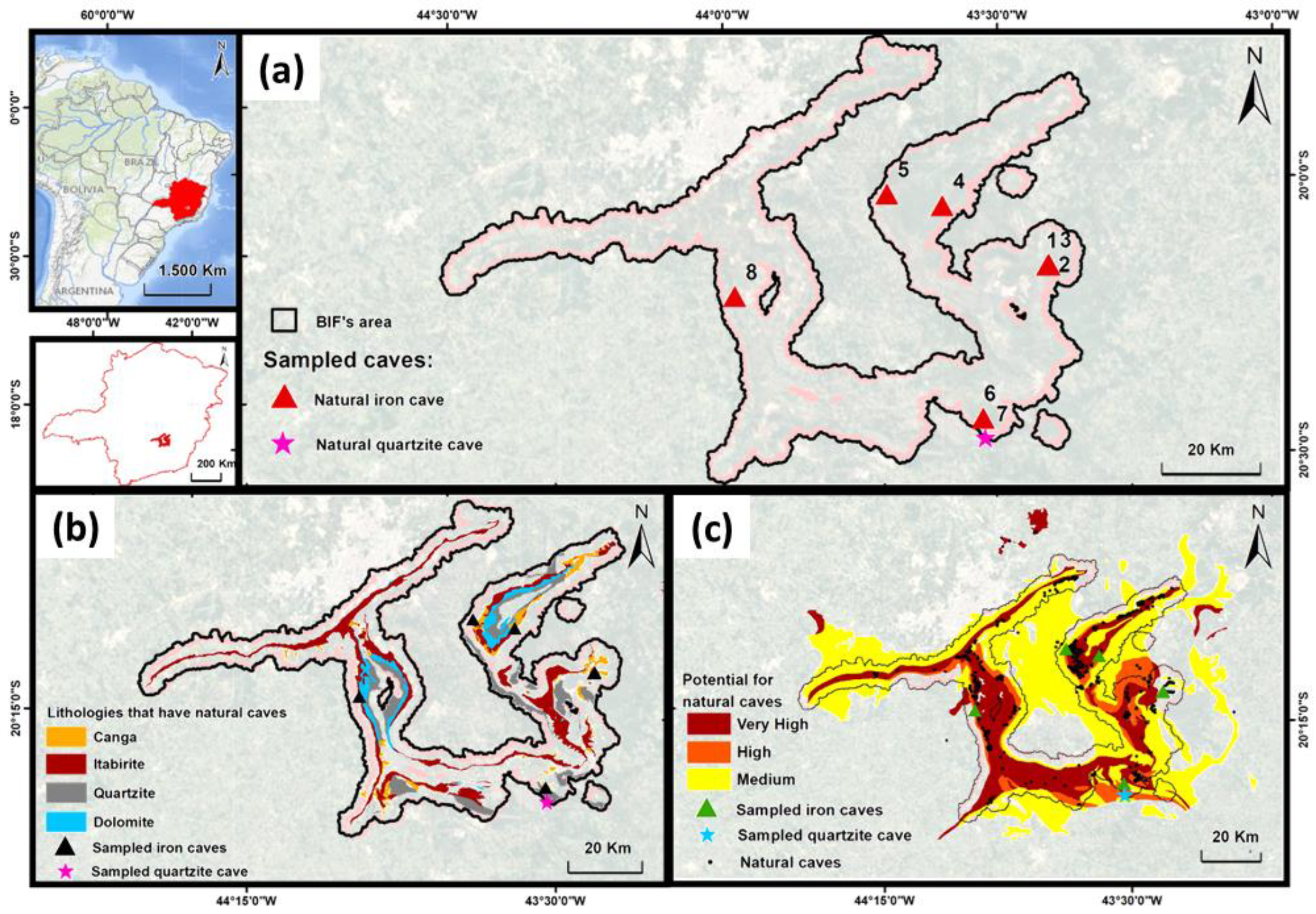 Diversity 13 00494 g001