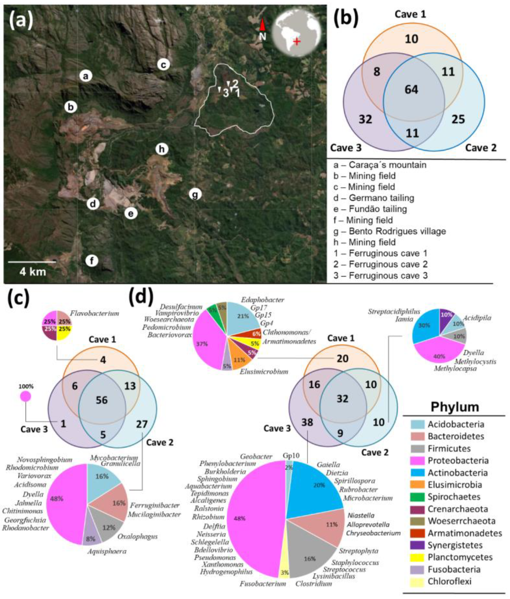 Diversity 13 00494 g006