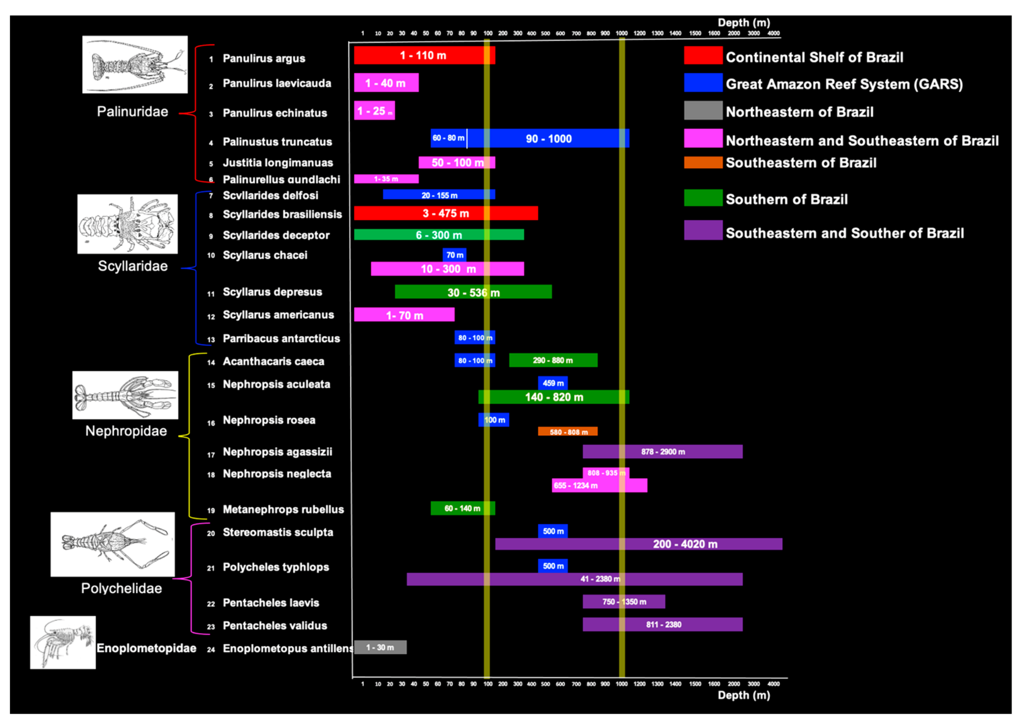 Diversity 13 00507 g004