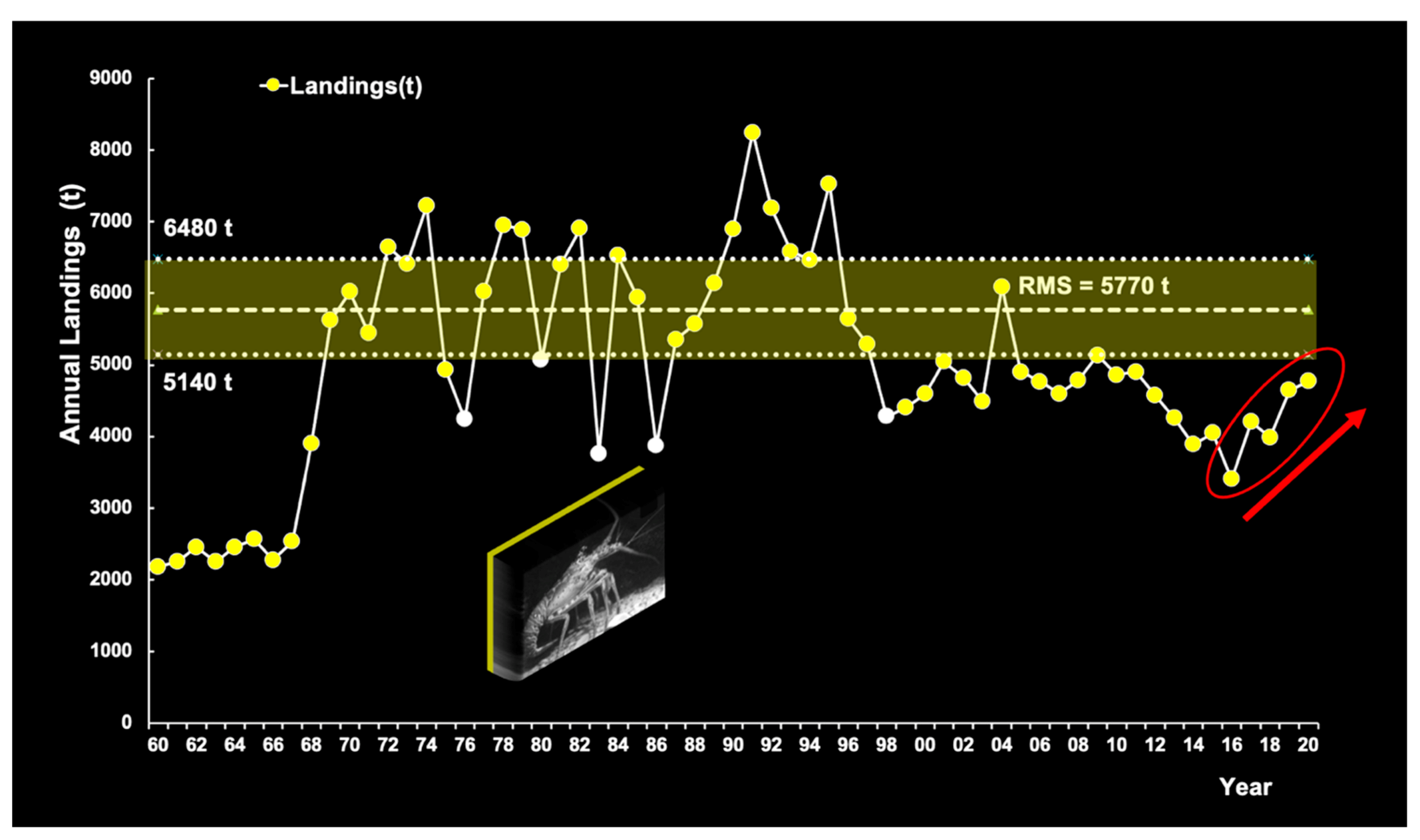 Diversity 13 00507 g009