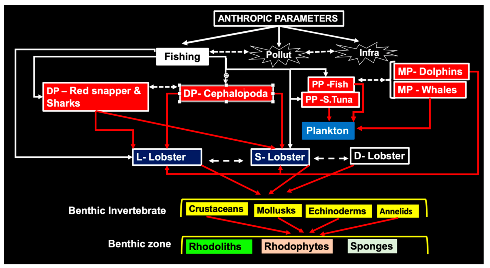 Diversity 13 00507 g012