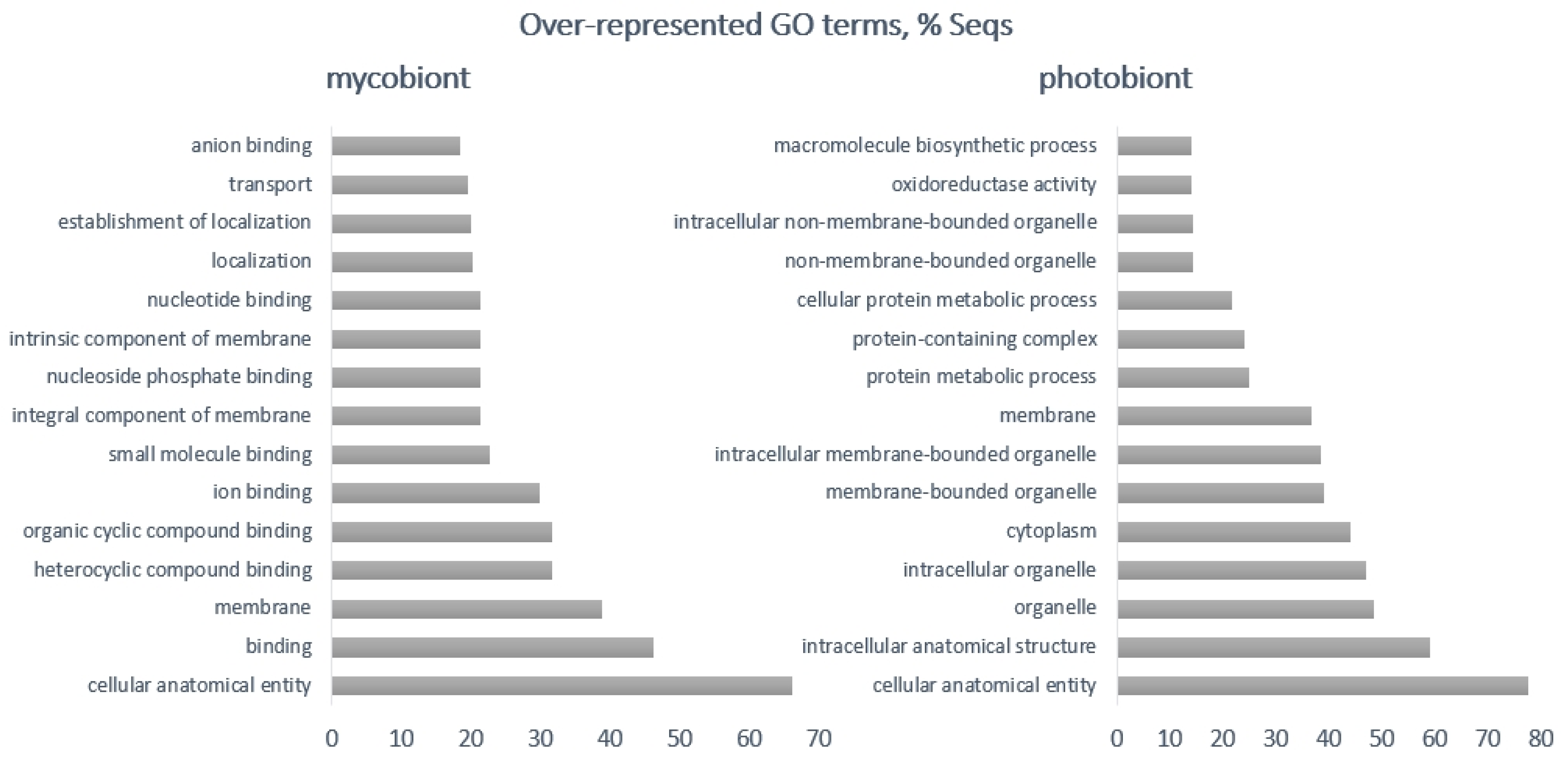 Diversity 13 00529 g003