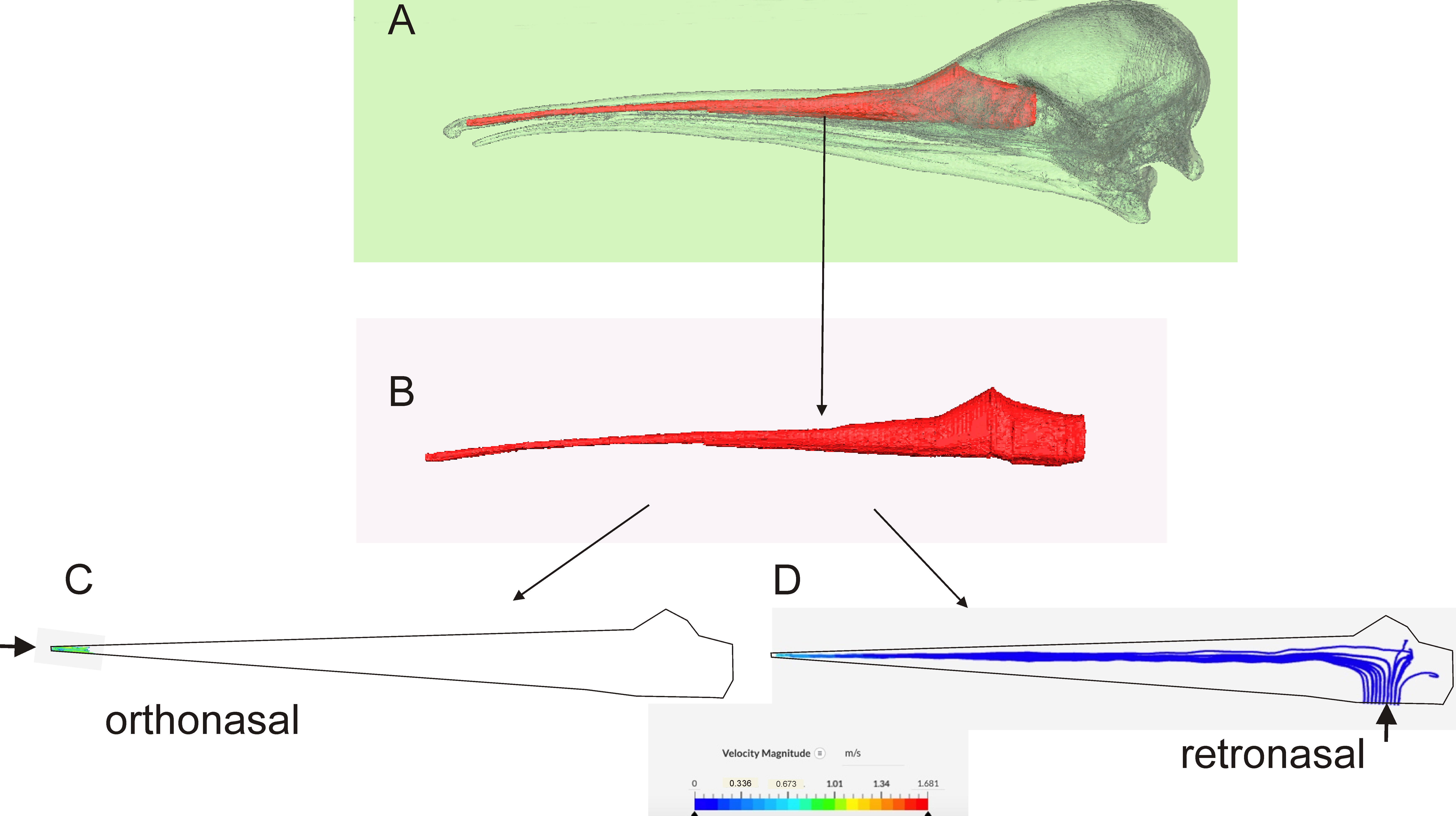 Diversity 13 00538 g005 Diversity 13 00538 g005