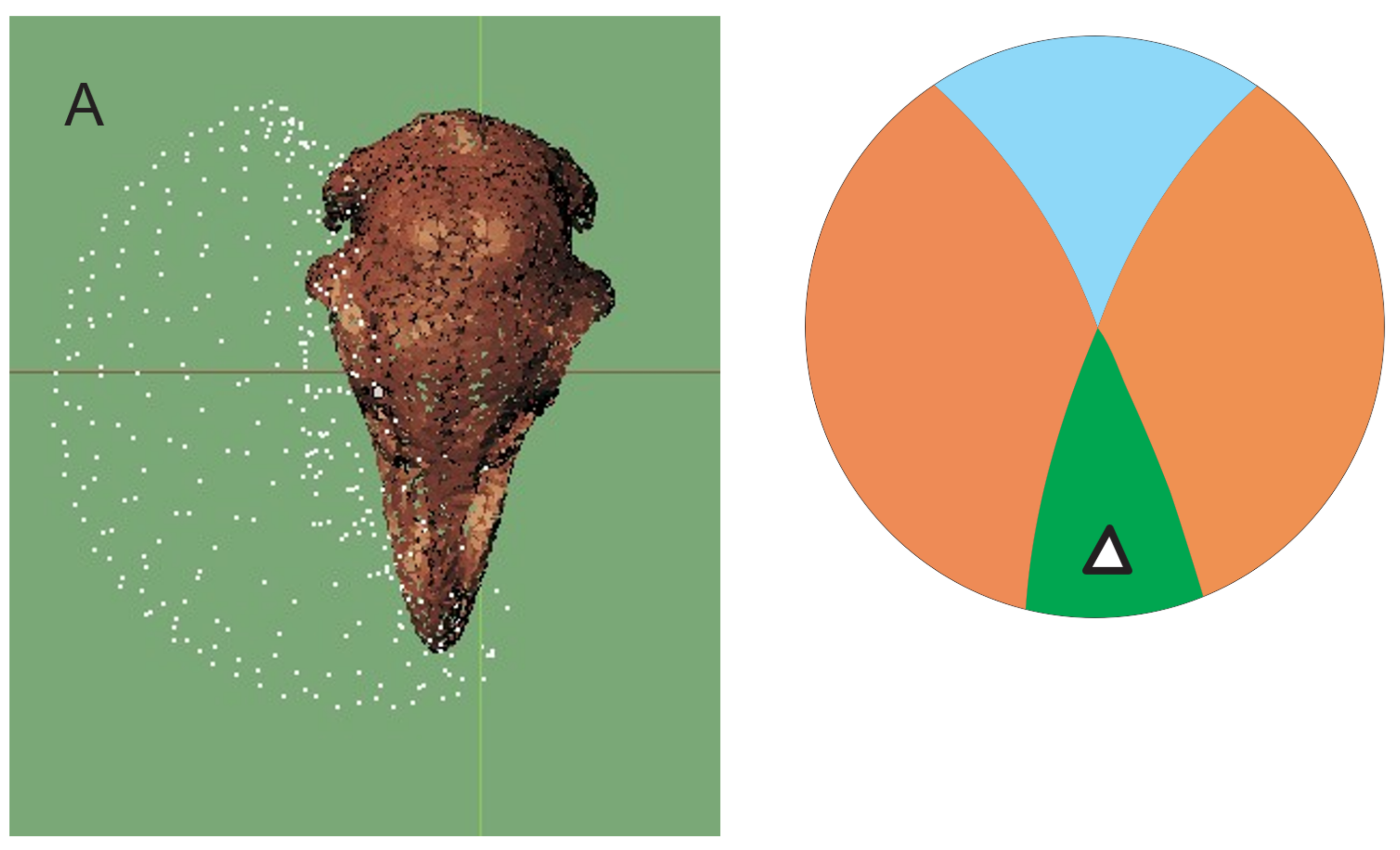 Diversity 13 00538 g008a Diversity 13 00538 g008a