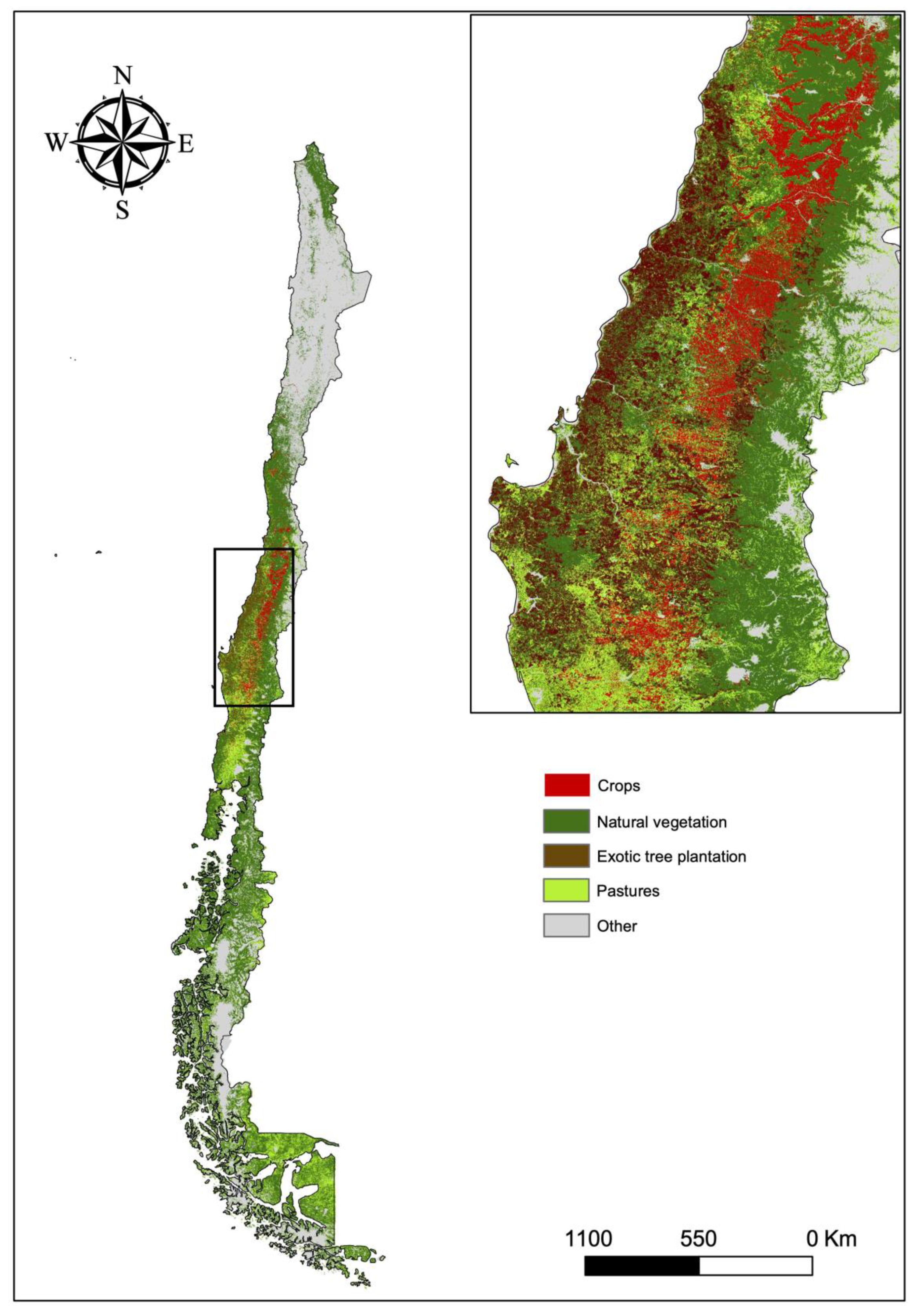Diversity 13 00571 g004