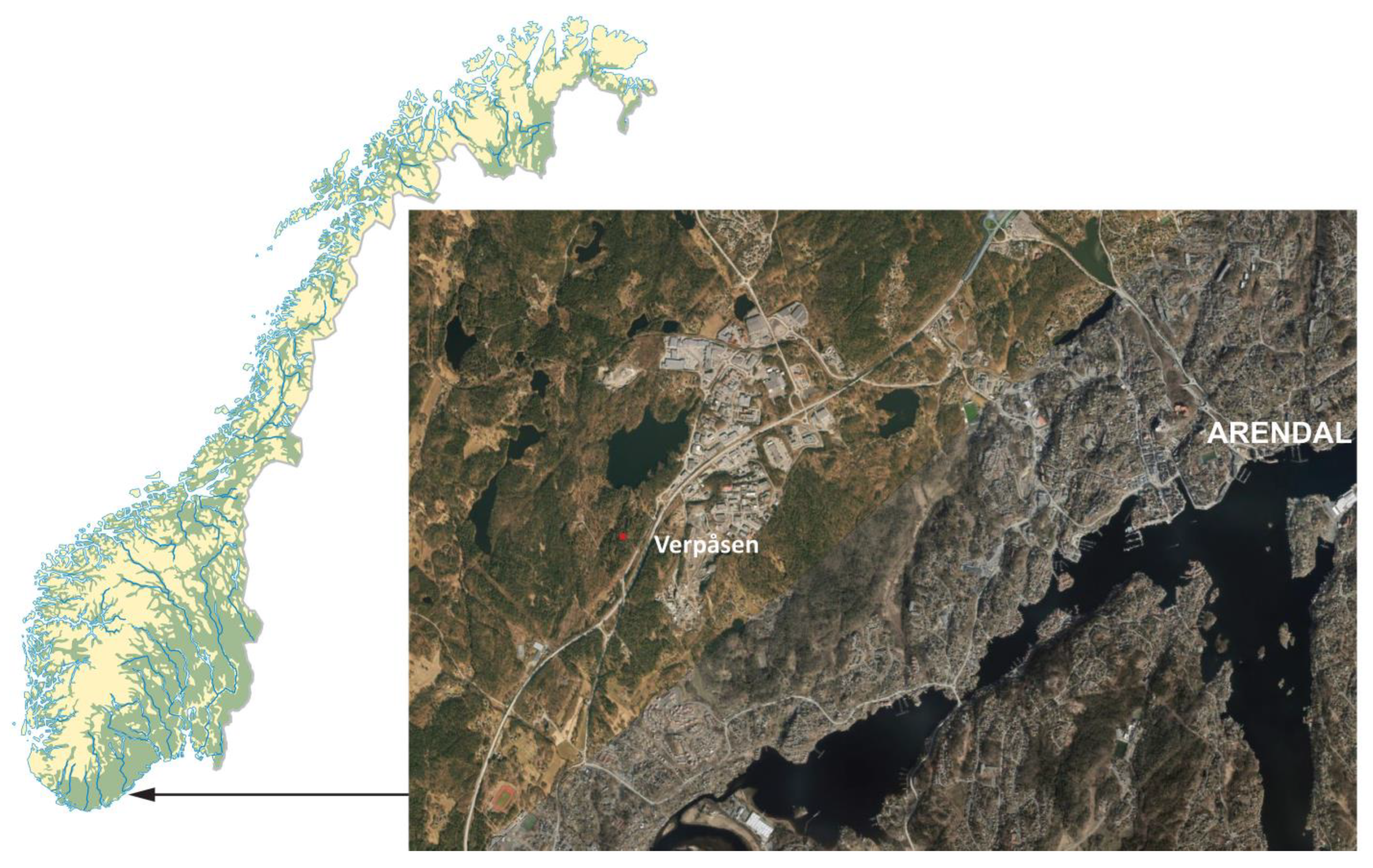 Diversity | Free Full-Text | A Forest Pool as a Habitat Island for Mites in  a Limestone Forest in Southern Norway | HTML