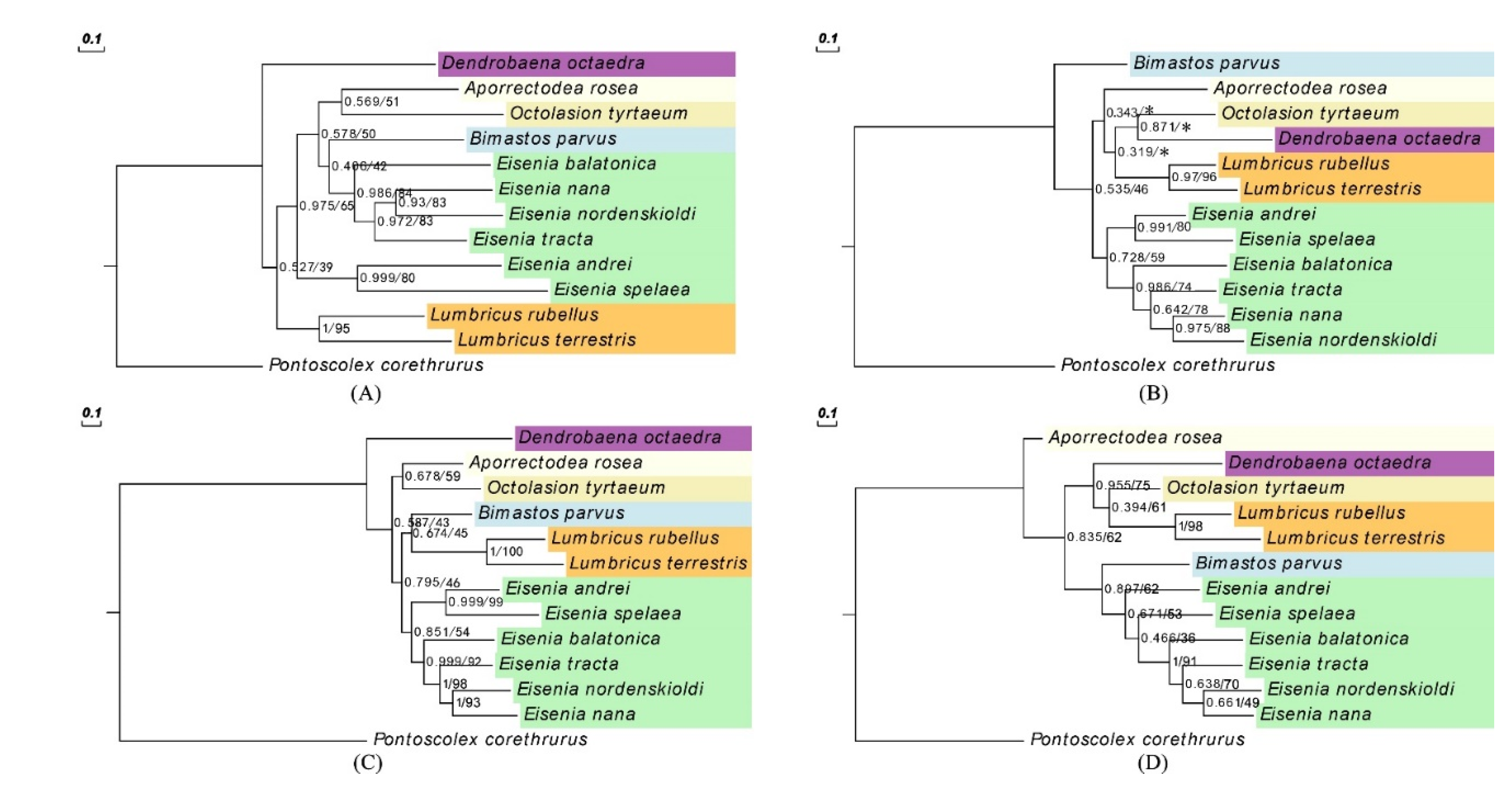 Diversity 13 00580 g003 Diversity 13 00580 g003