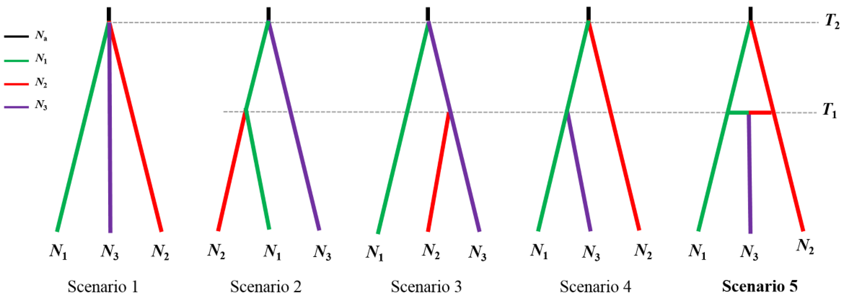 Diversity 13 00627 g002