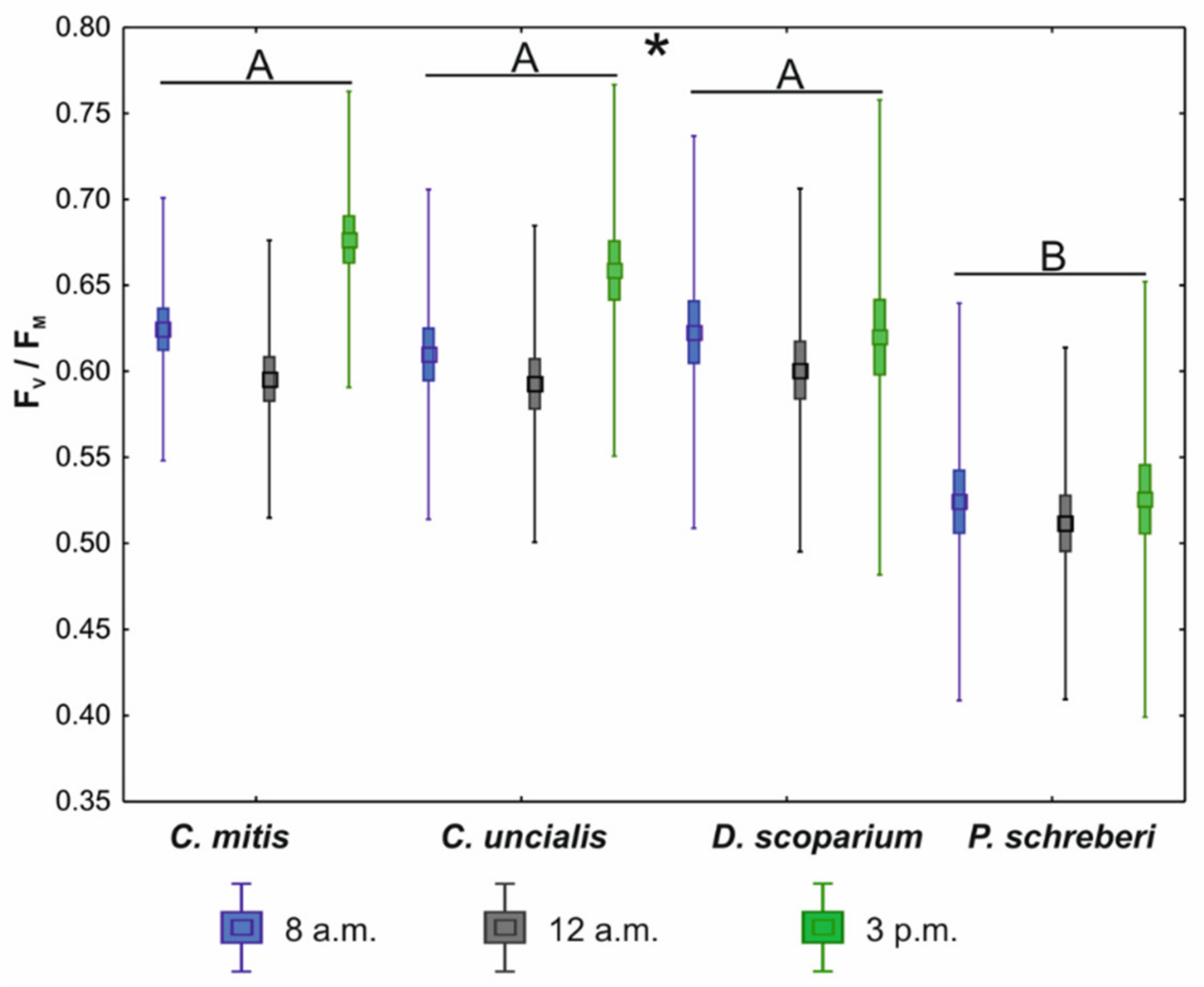 Diversity 13 00642 g004