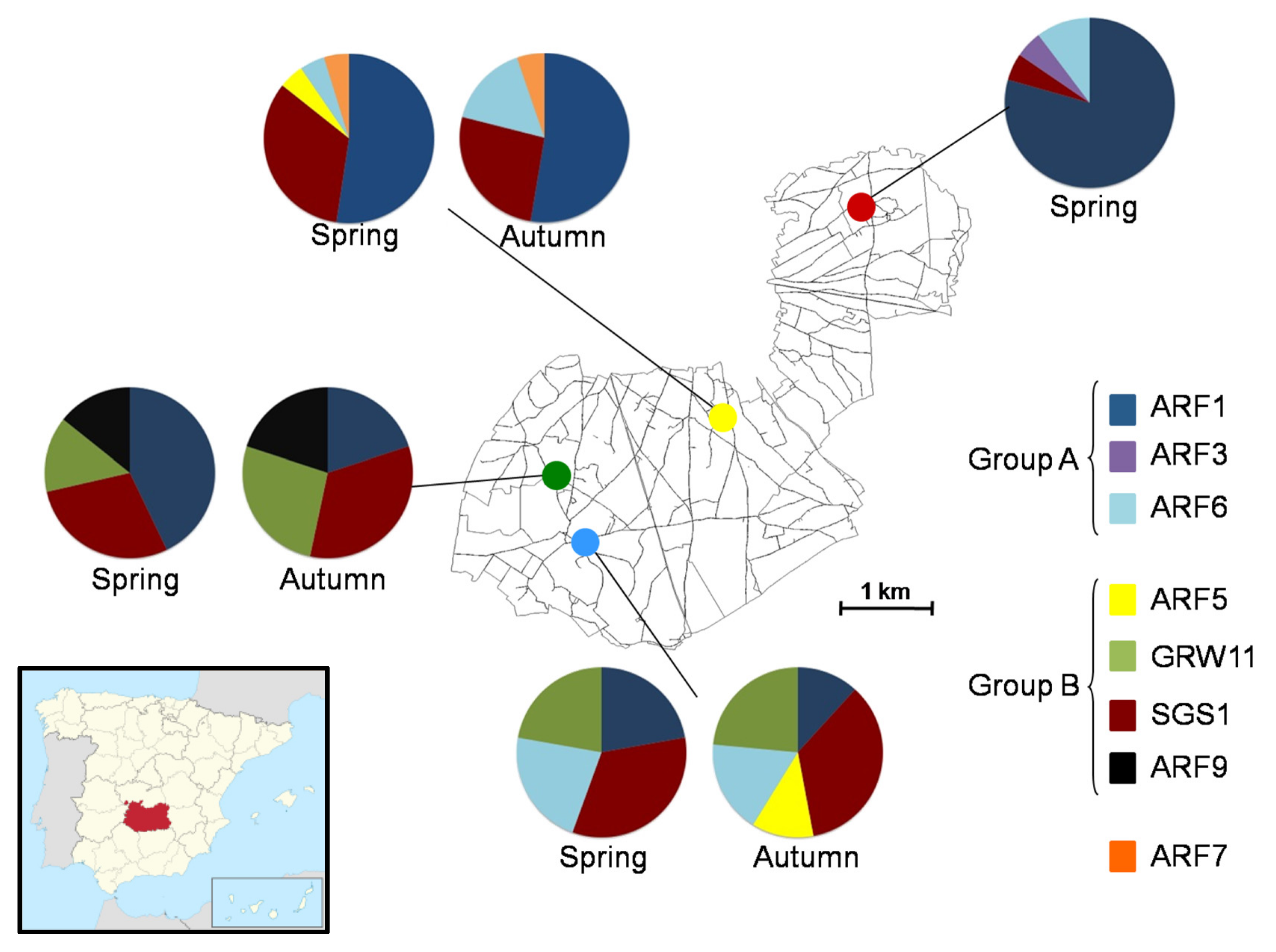 Diversity | Free Full-Text | Risk of Infection, Local Prevalence and  Seasonal Changes in an Avian Malaria Community Associated with Game Bird  Releases | HTML