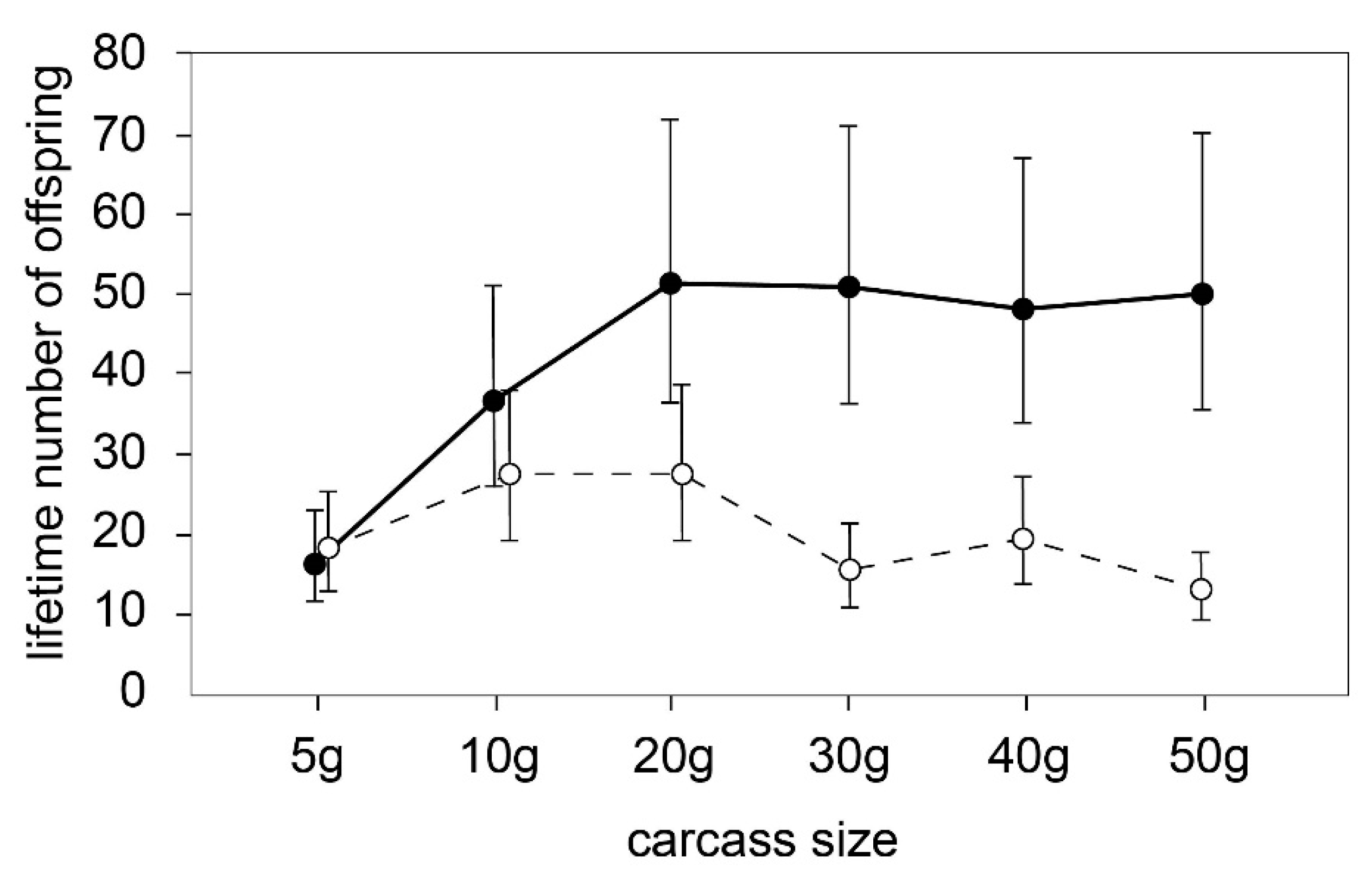 Diversity 13 00662 g001