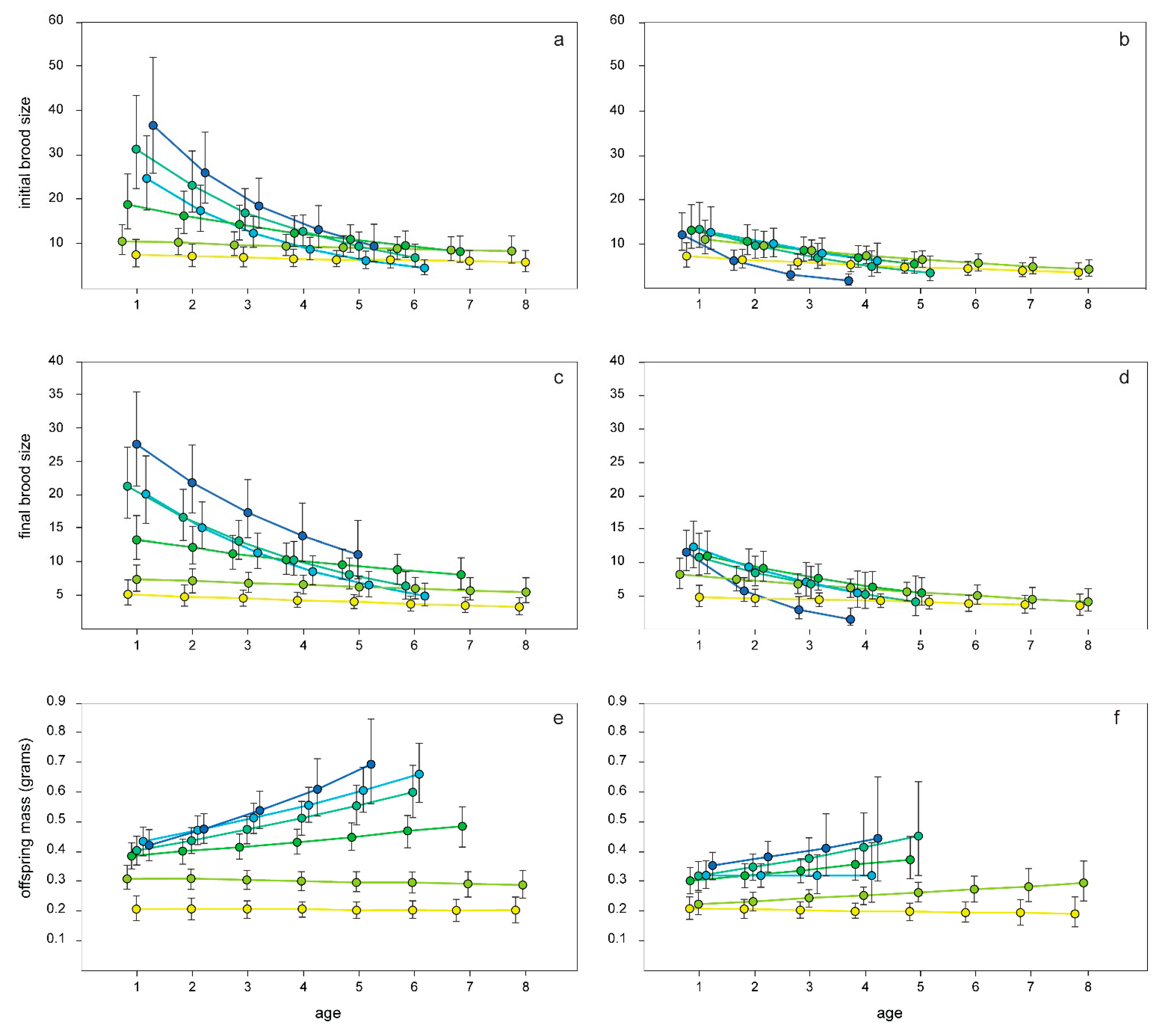 Diversity 13 00662 g004