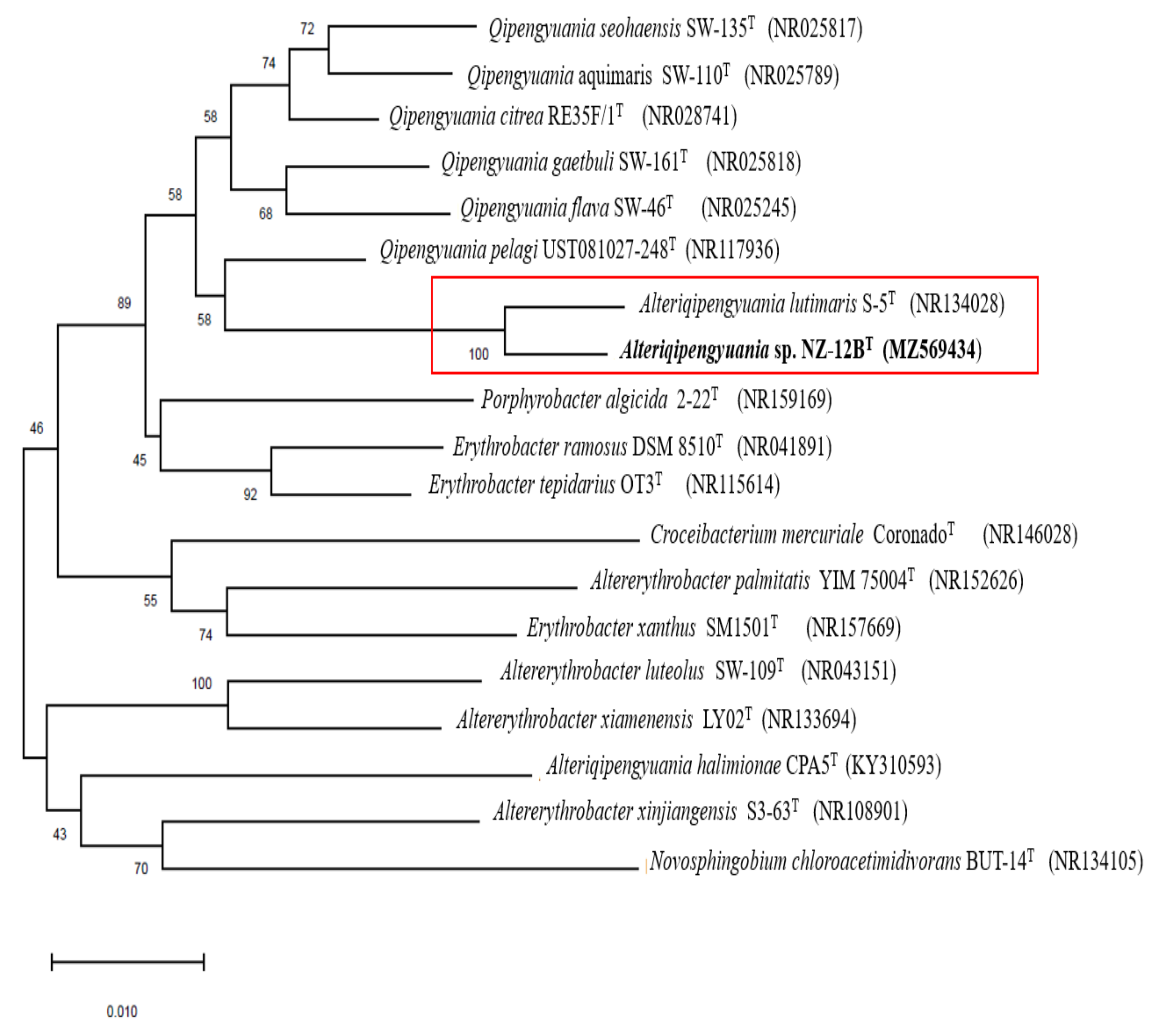 Diversity 13 00670 g002