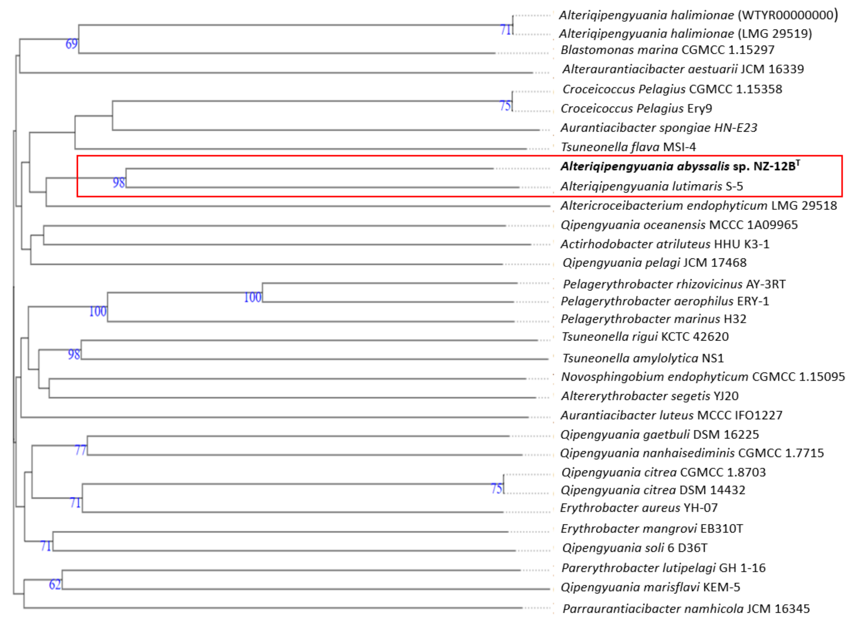 Diversity 13 00670 g005
