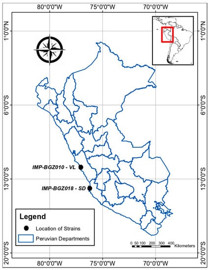 Diversity | Free Full-Text | Integrative Taxonomy of Two Peruvian ...