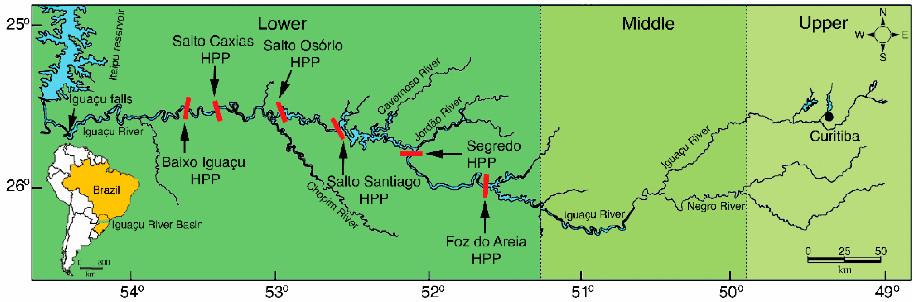 Diversity | Free Full-Text | Genetic Diversity of the  Surubim-Do-Igua&ccedil;u, a Giant Catfish Species Threatened with  Extinction: Recommendations for Species Conservation | HTML