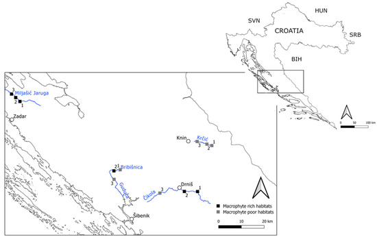 Diversity | Free Full-Text | Aquatic Macrophyte Vegetation Promotes  Taxonomic and Functional Diversity of Odonata Assemblages in Intermittent  Karst Rivers in the Mediterranean