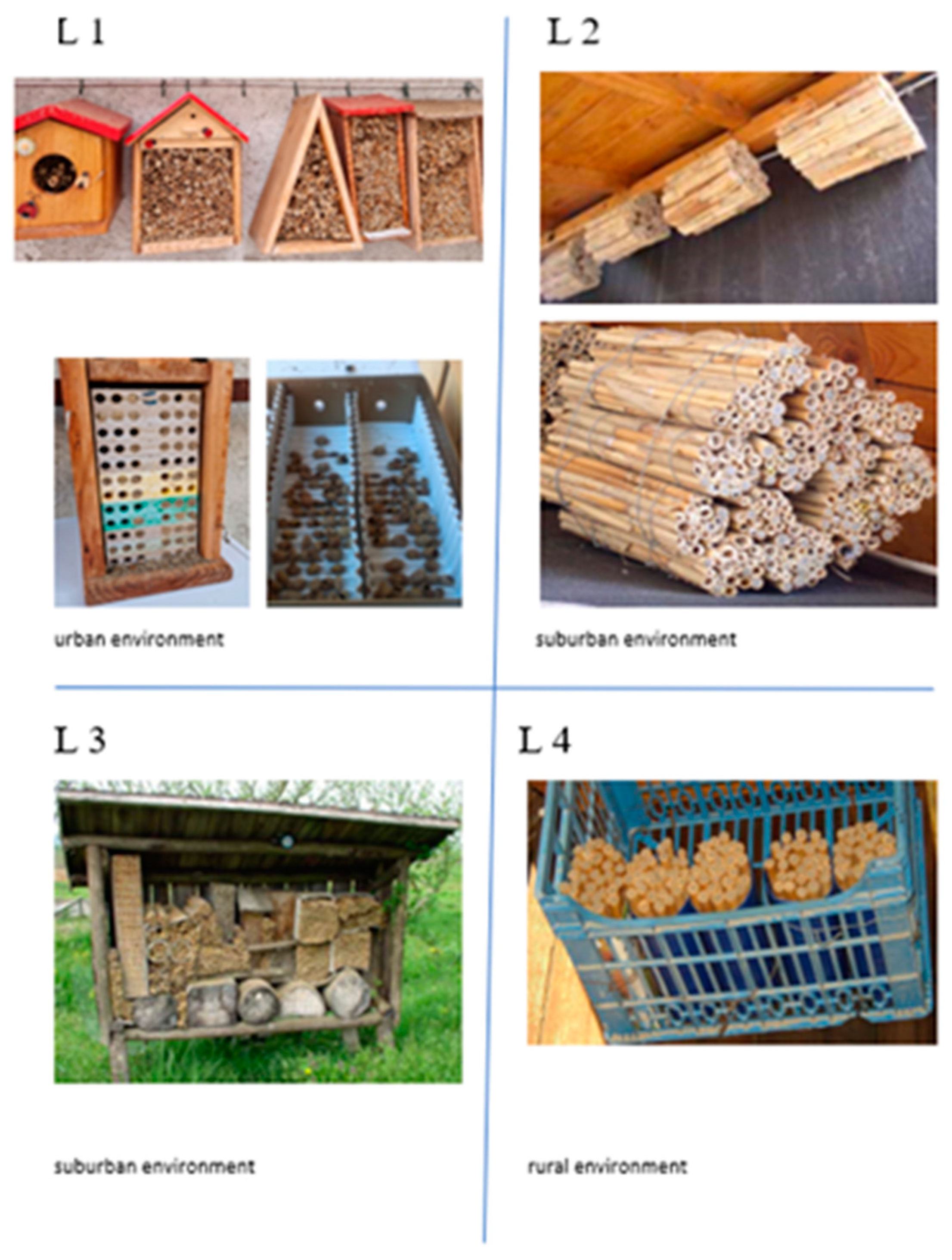 Diversity 14 00226 g002