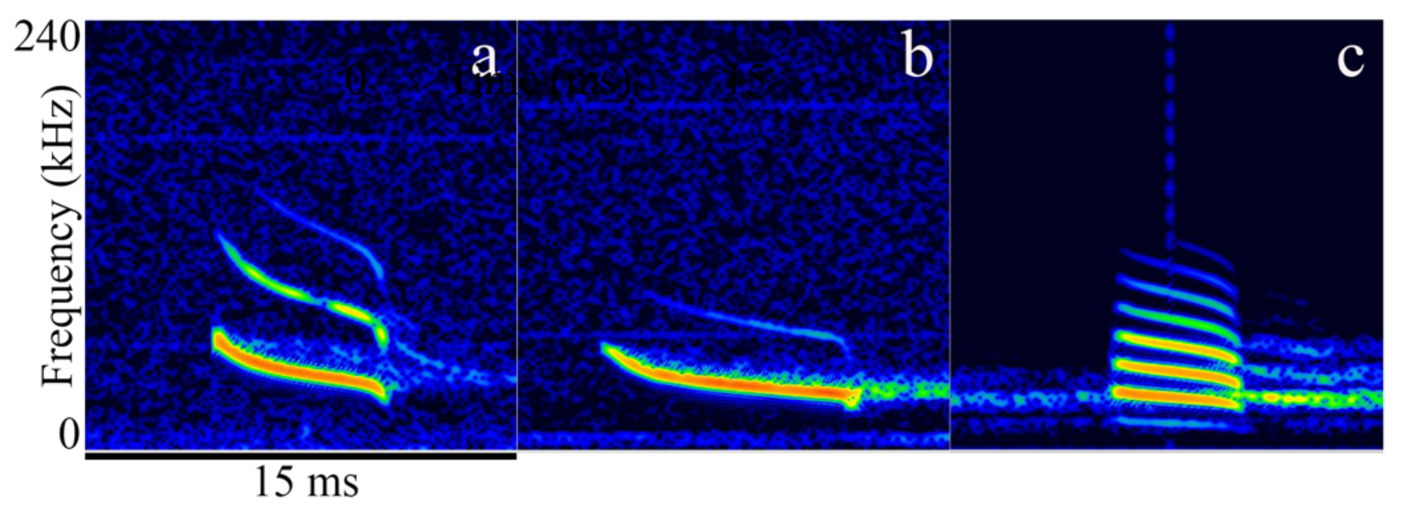 Diversity 14 00258 g002