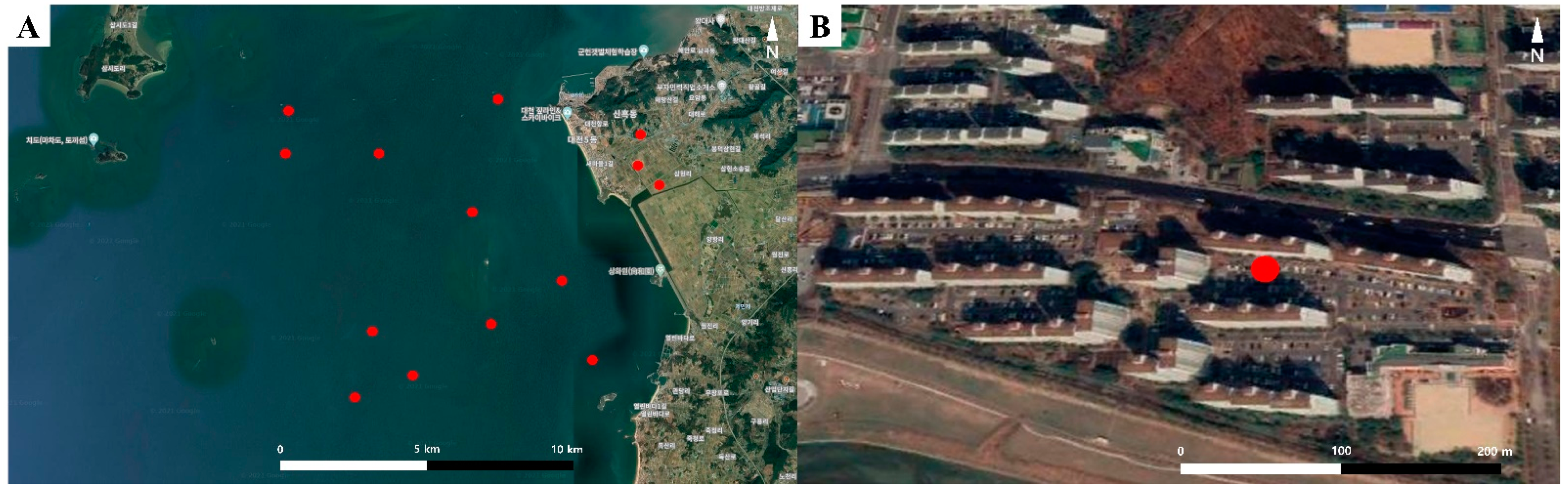 Diversity 14 00316 g002