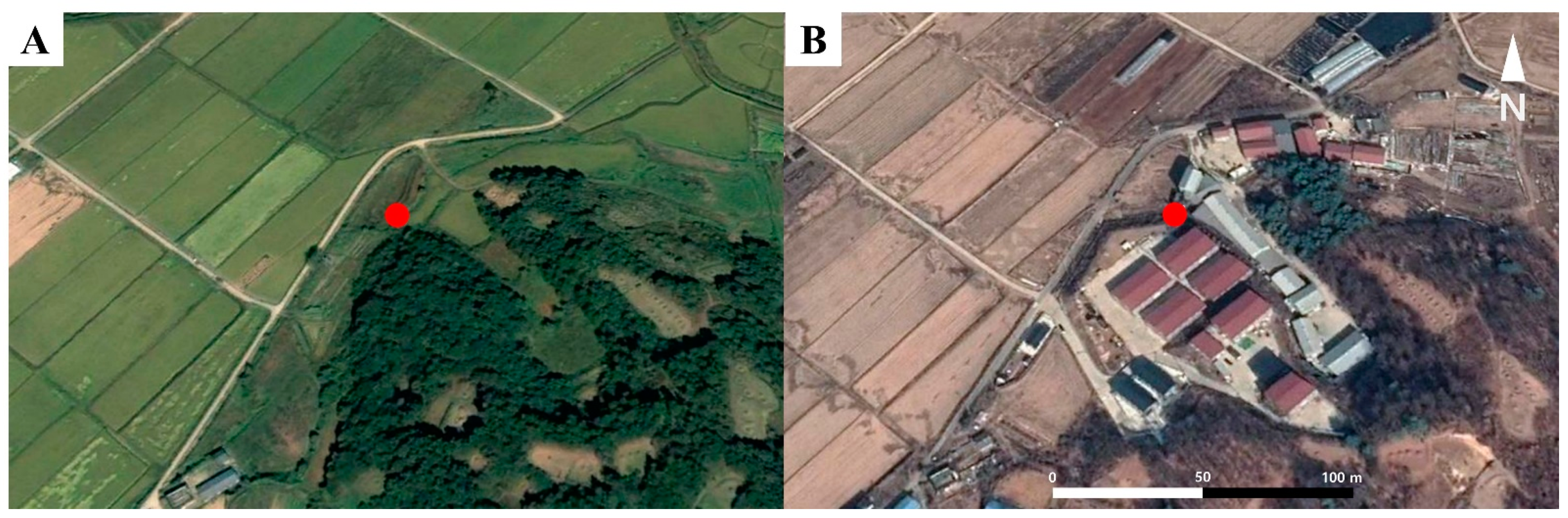 Diversity 14 00316 g003