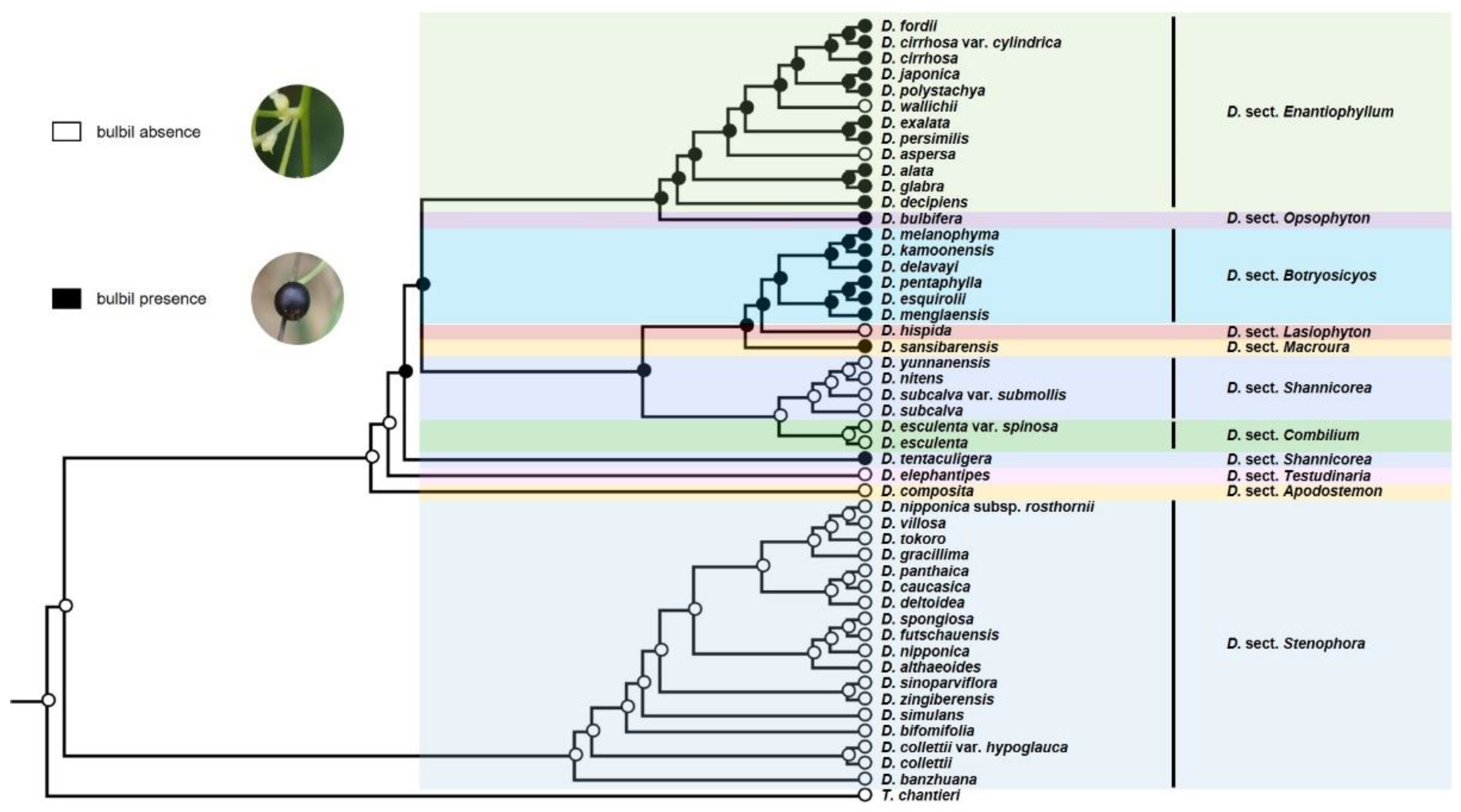 Diversity 14 00349 g003 Diversity 14 00349 g003