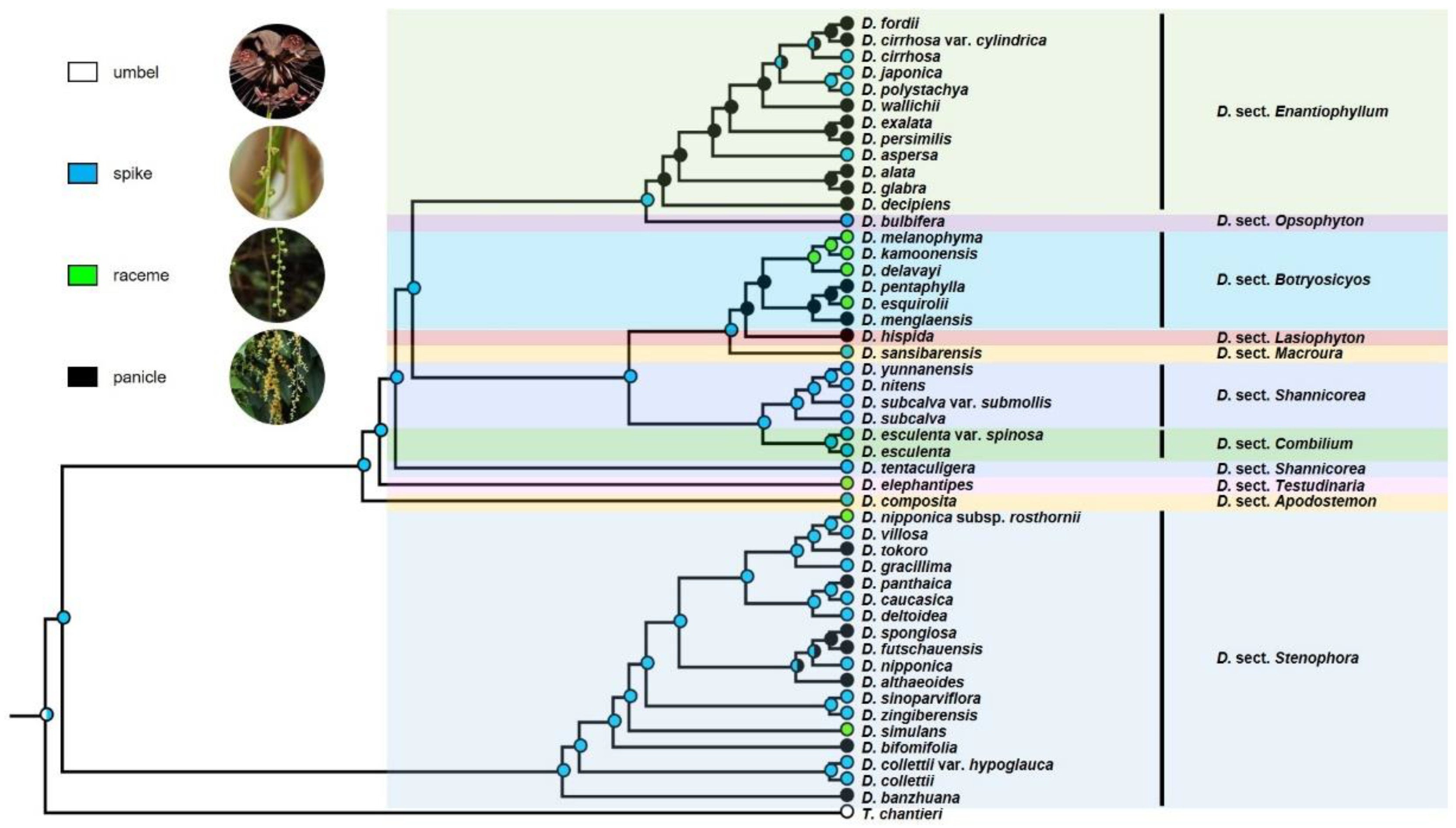 Diversity 14 00349 g004 Diversity 14 00349 g004