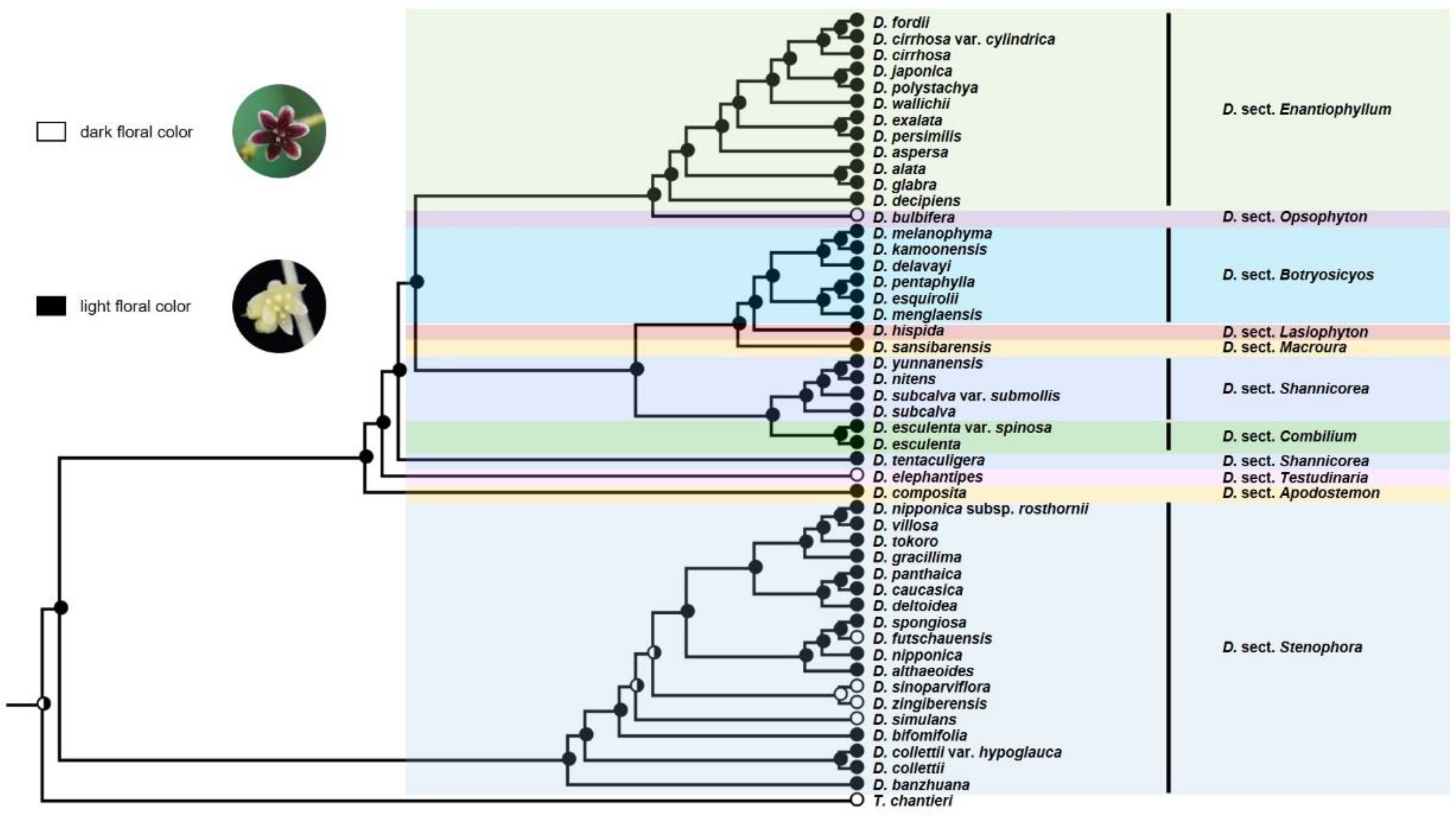 Diversity 14 00349 g005 Diversity 14 00349 g005