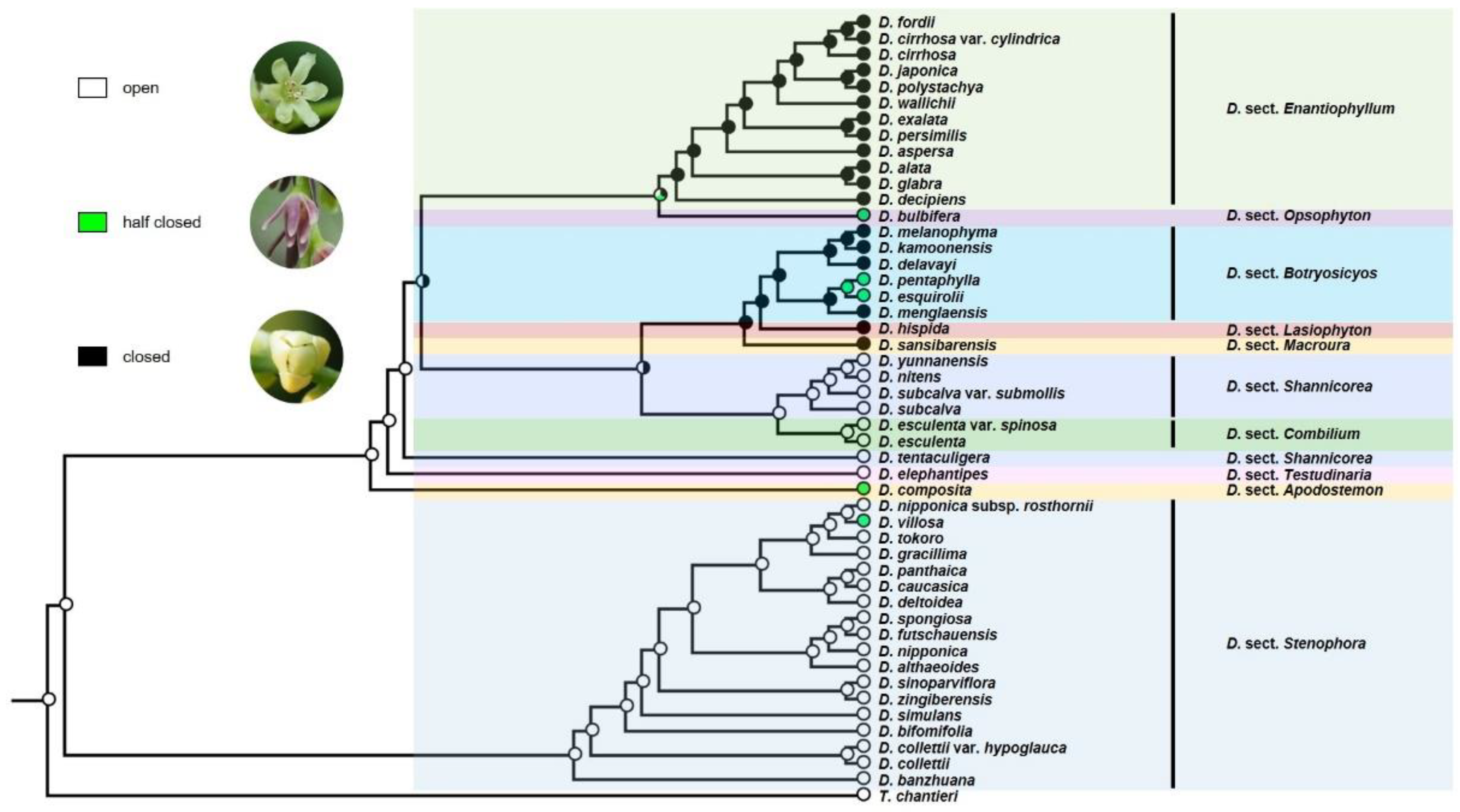 Diversity 14 00349 g006 Diversity 14 00349 g006