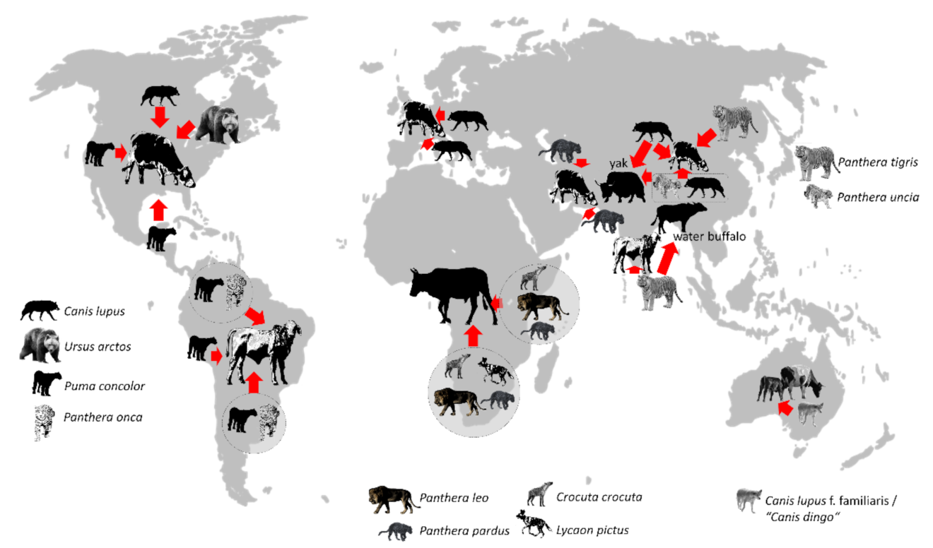 Diversity 14 00380 g002