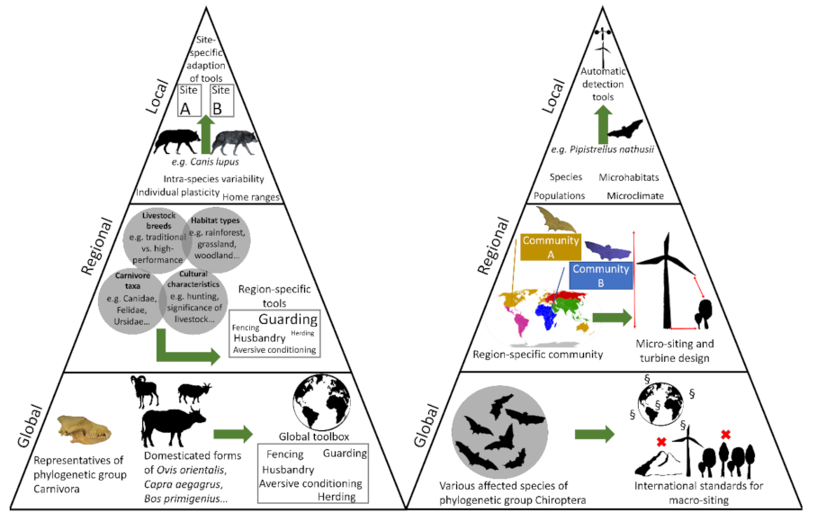 Diversity 14 00380 g004