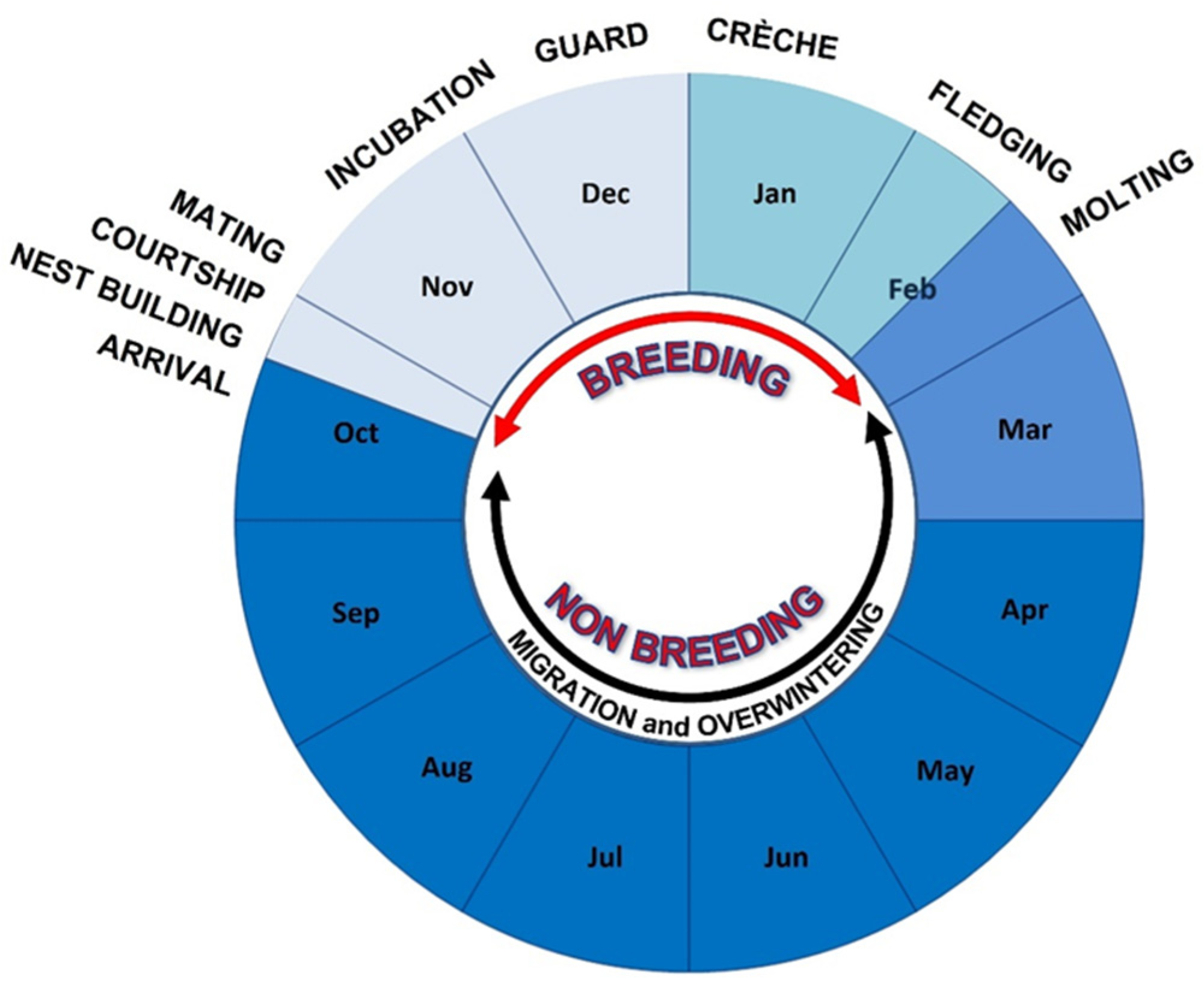 Diversity 14 00429 g002 Diversity 14 00429 g002