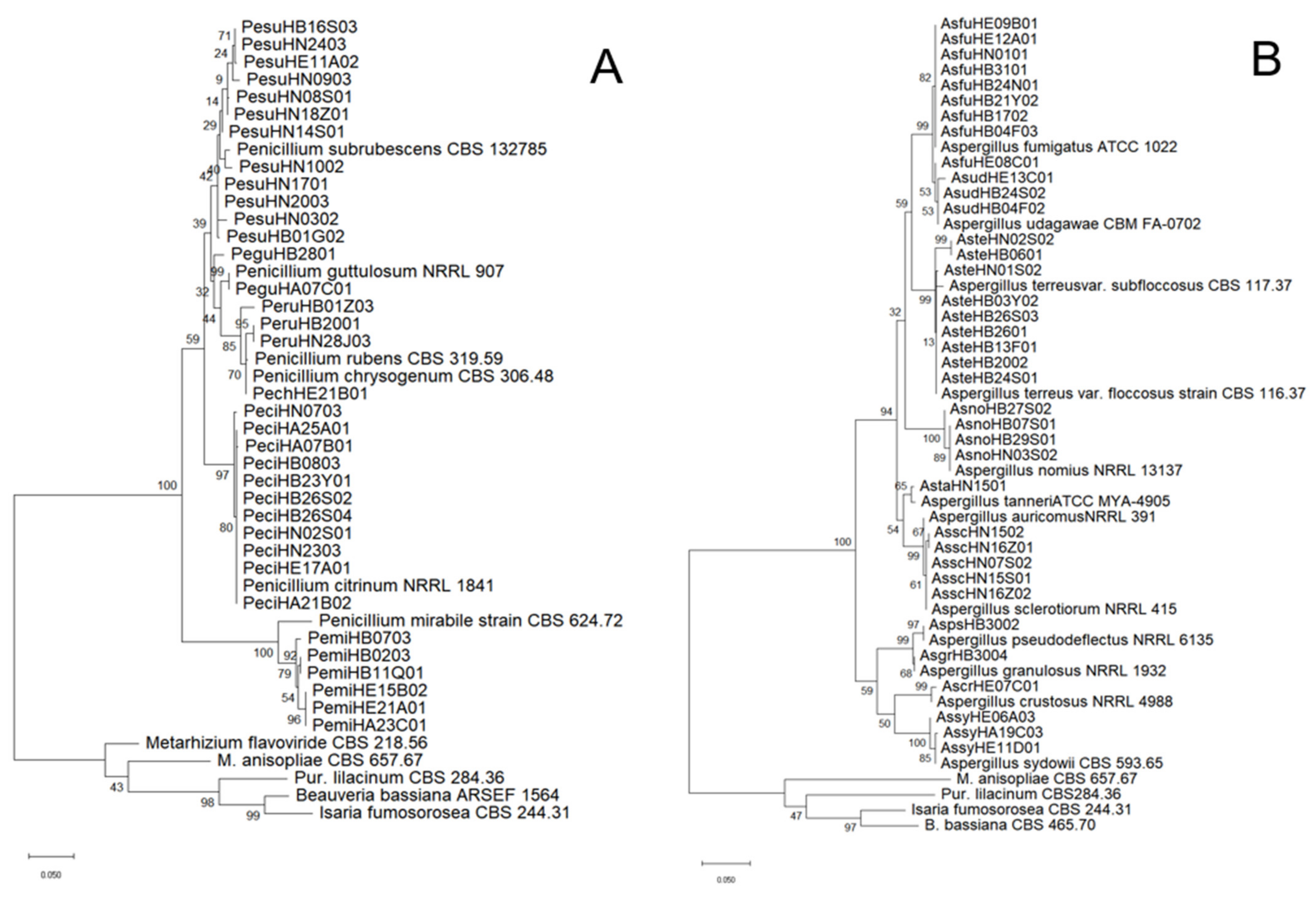 Diversity 14 00464 g002 Diversity 14 00464 g002