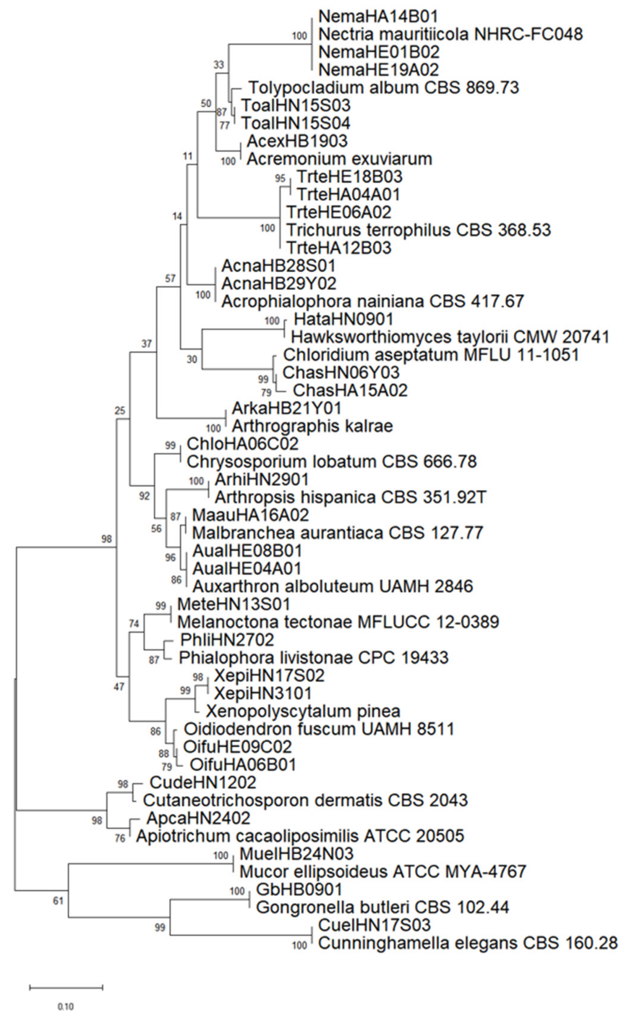 Diversity 14 00464 g005 Diversity 14 00464 g005