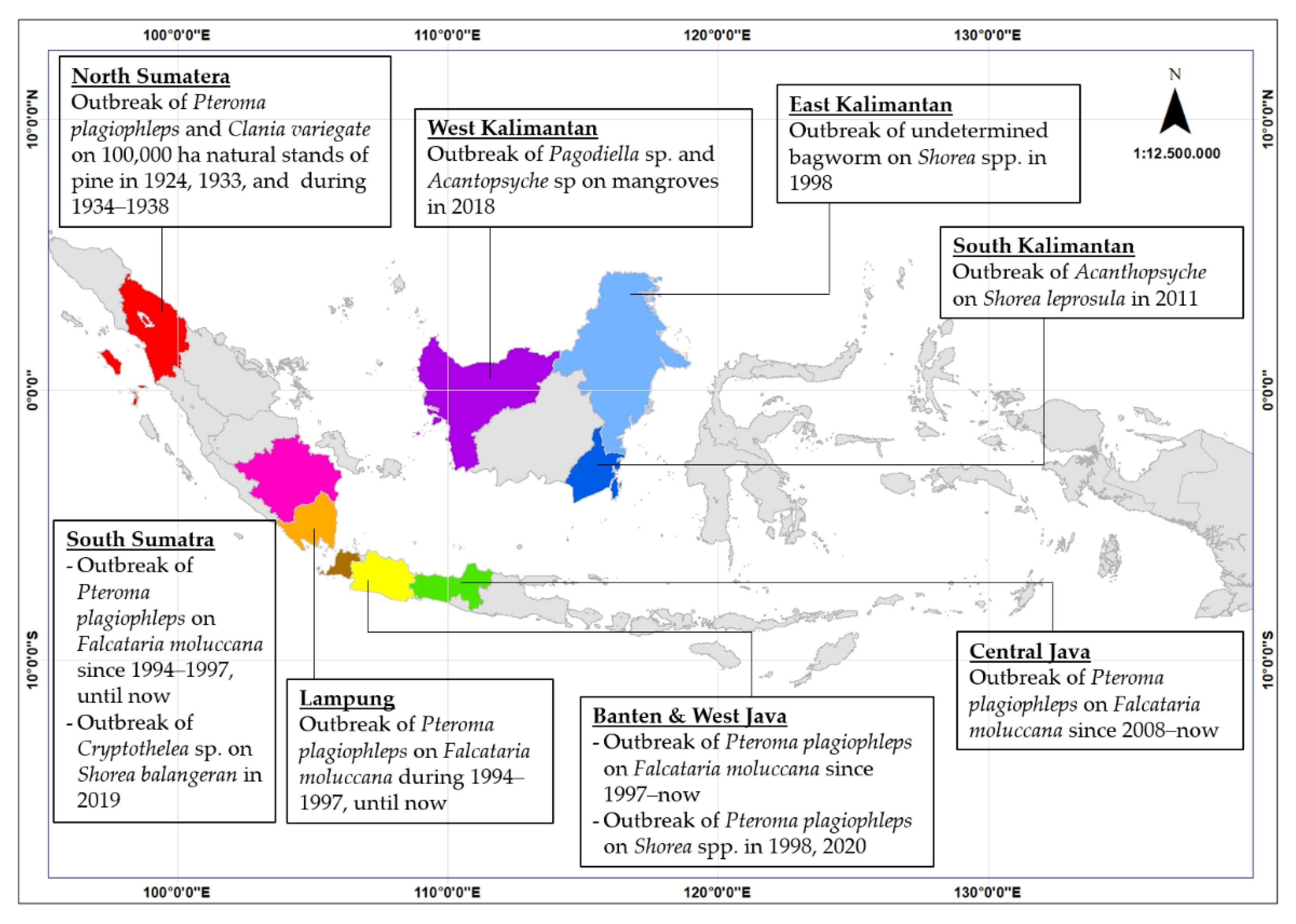 Diversity | Free Full-Text | Bagworms in Indonesian Plantation Forests:  Species Composition, Pest Status, and Factors That Contribute to Outbreaks