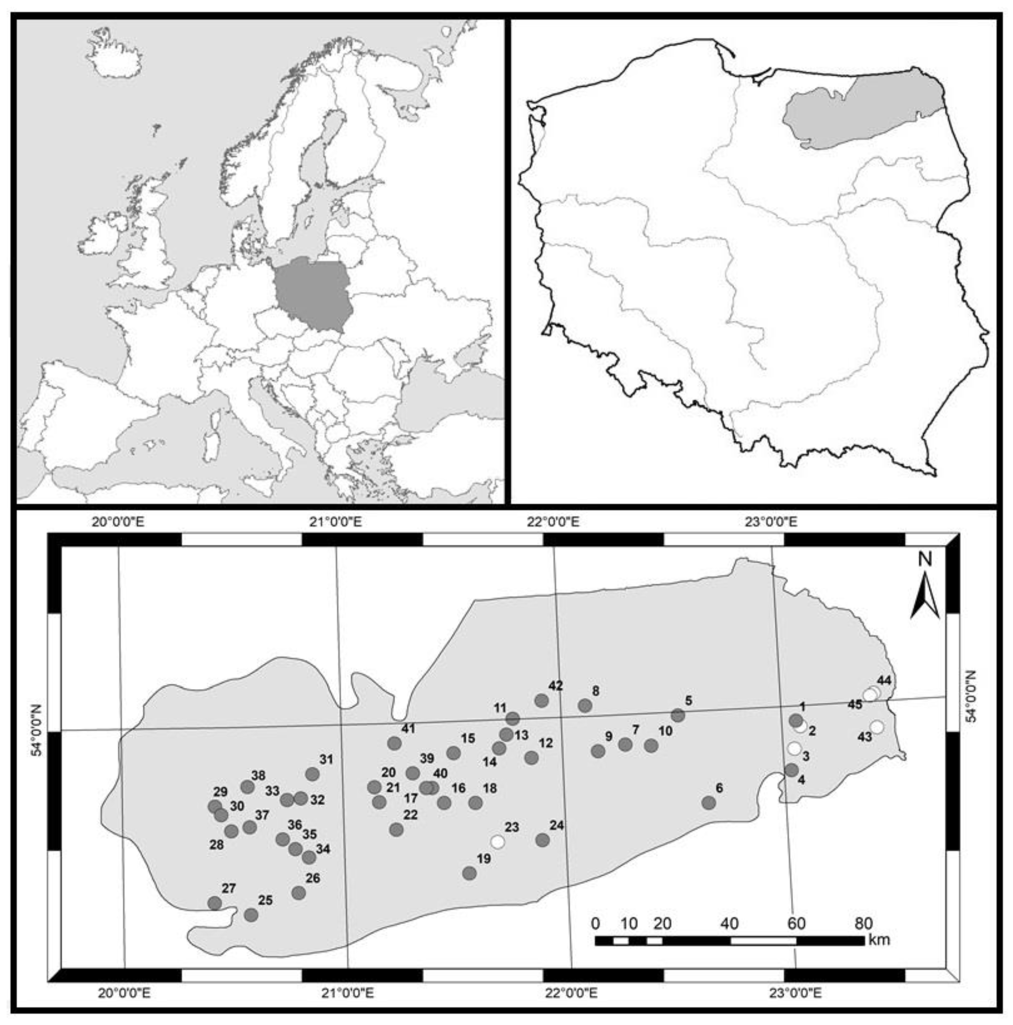 Diversity 14 00501 g001