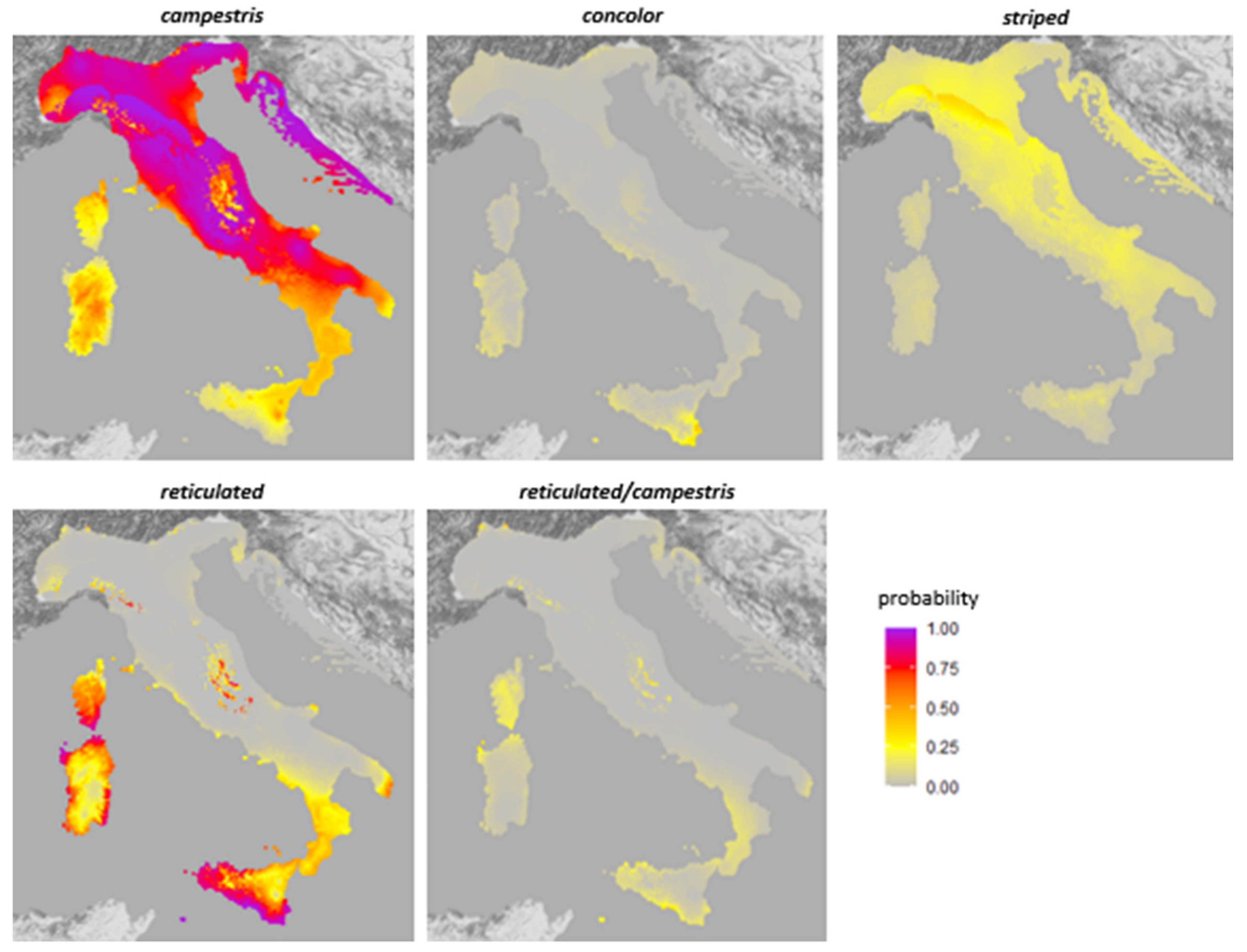 LATITUDINAL VARIATION IN PROTANDRY AND PROTOGYNY IN POLISTINE WASPS:  Monitore Zoologico Italiano - Italian Journal of Zoology: Vol 20, No 1