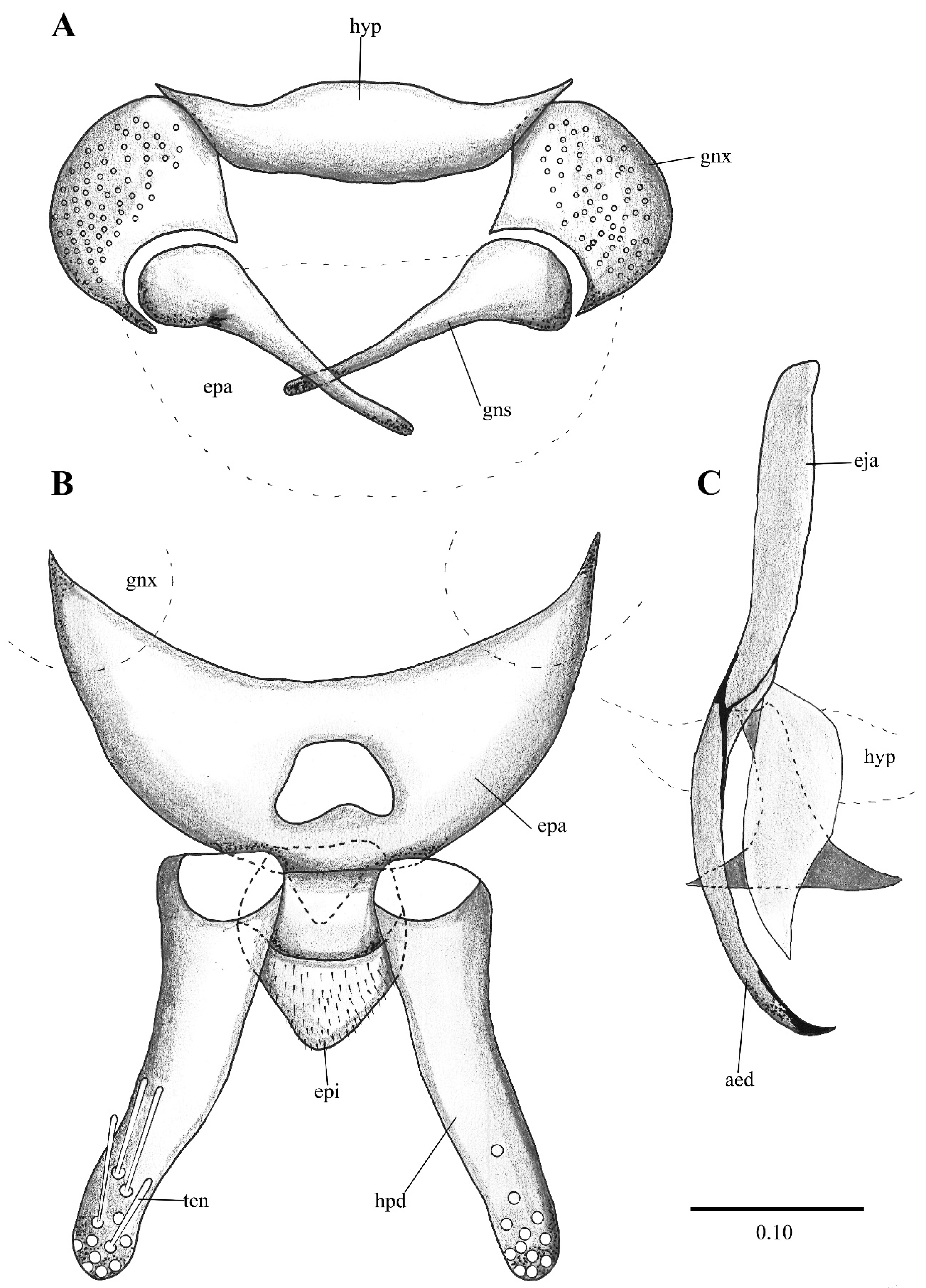 Diversity 14 00532 g005 Diversity 14 00532 g005
